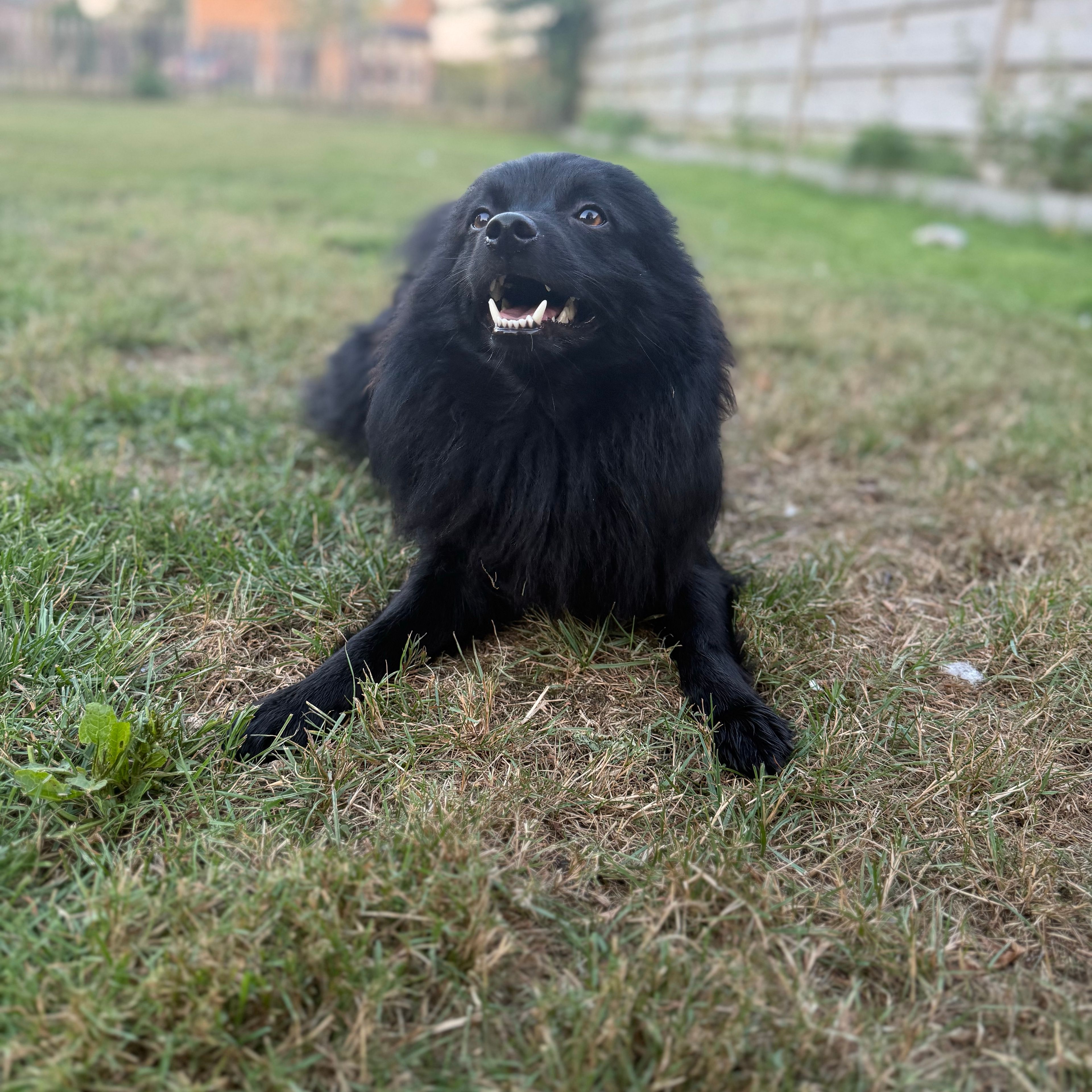 Juul