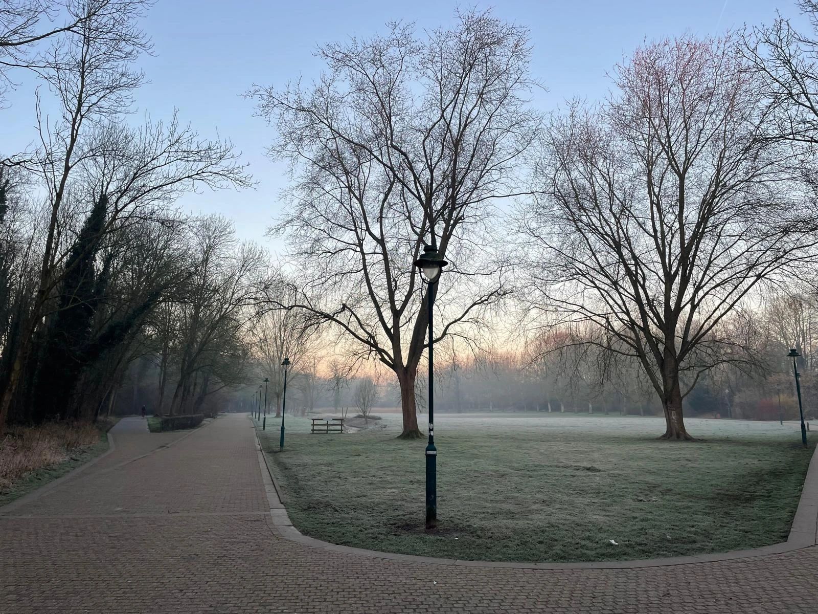 image-10