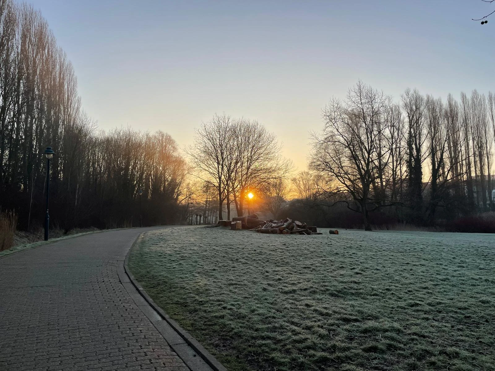 image-11