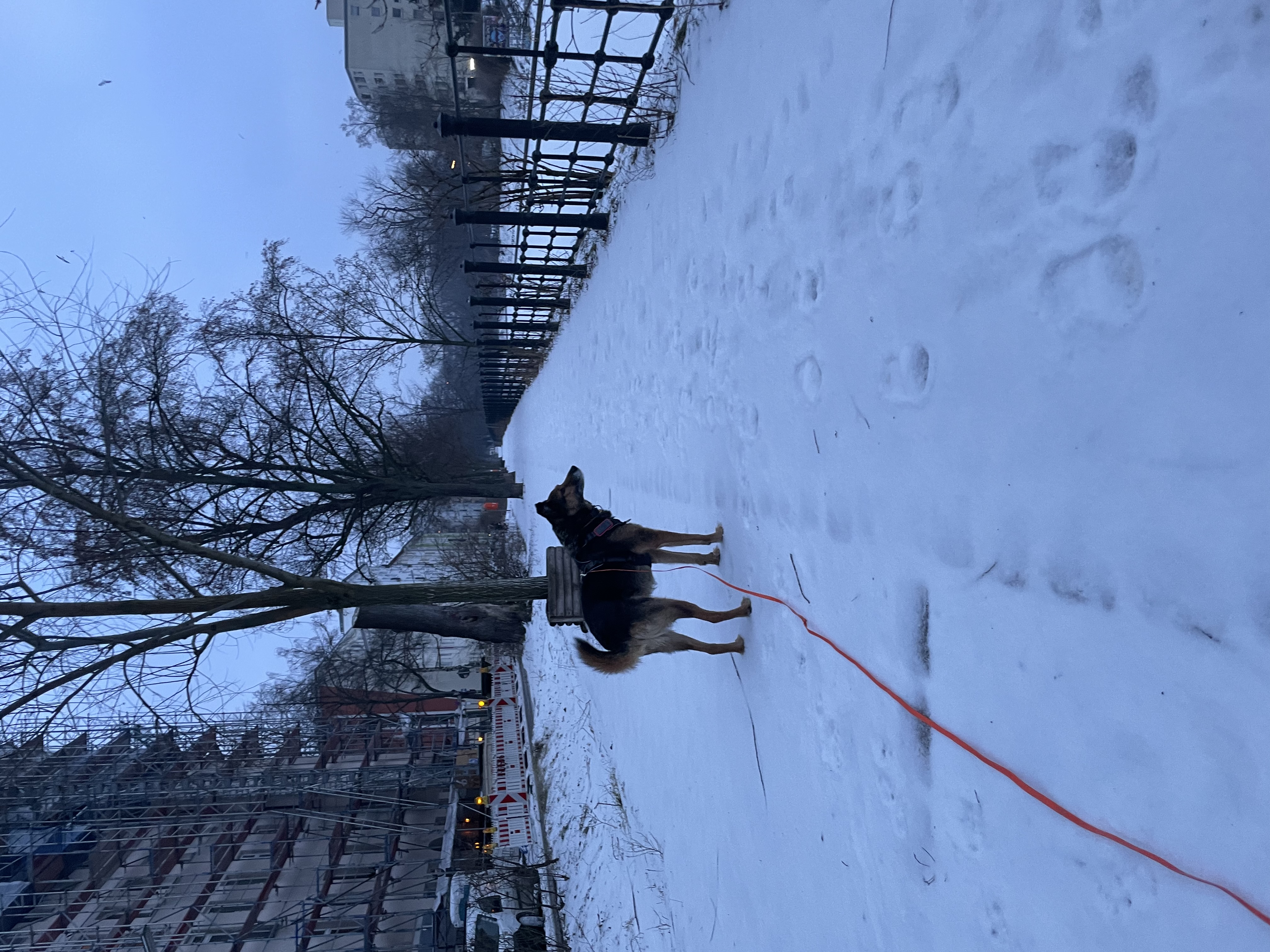 image-16