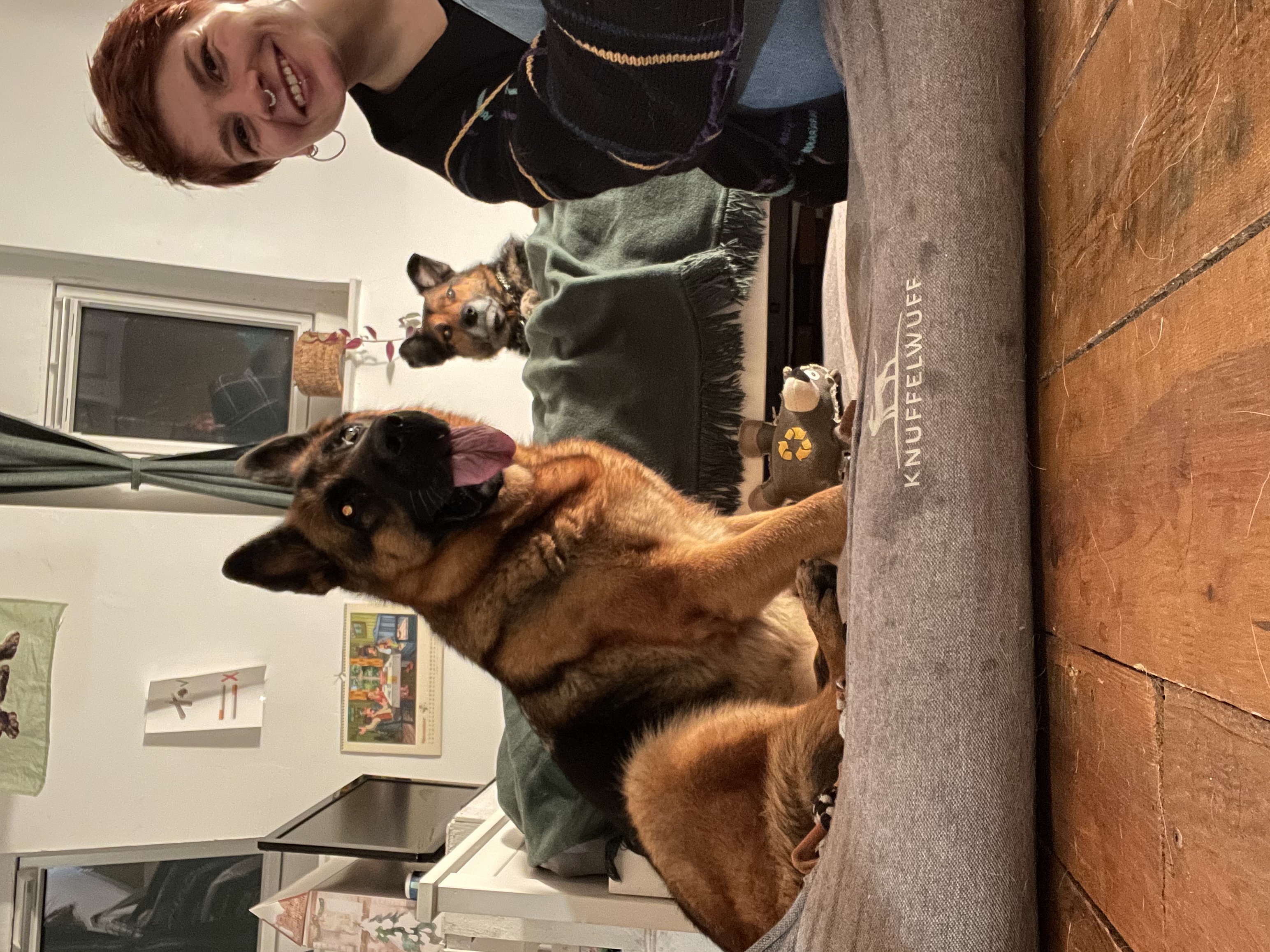 image-6