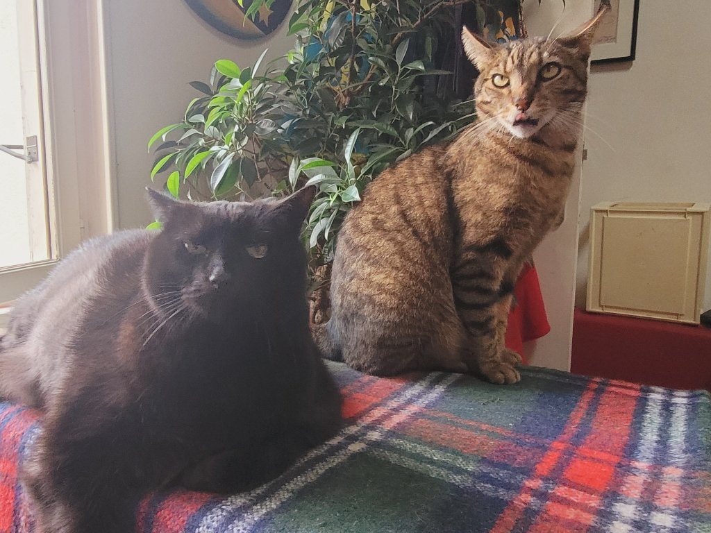 Potichat et billy