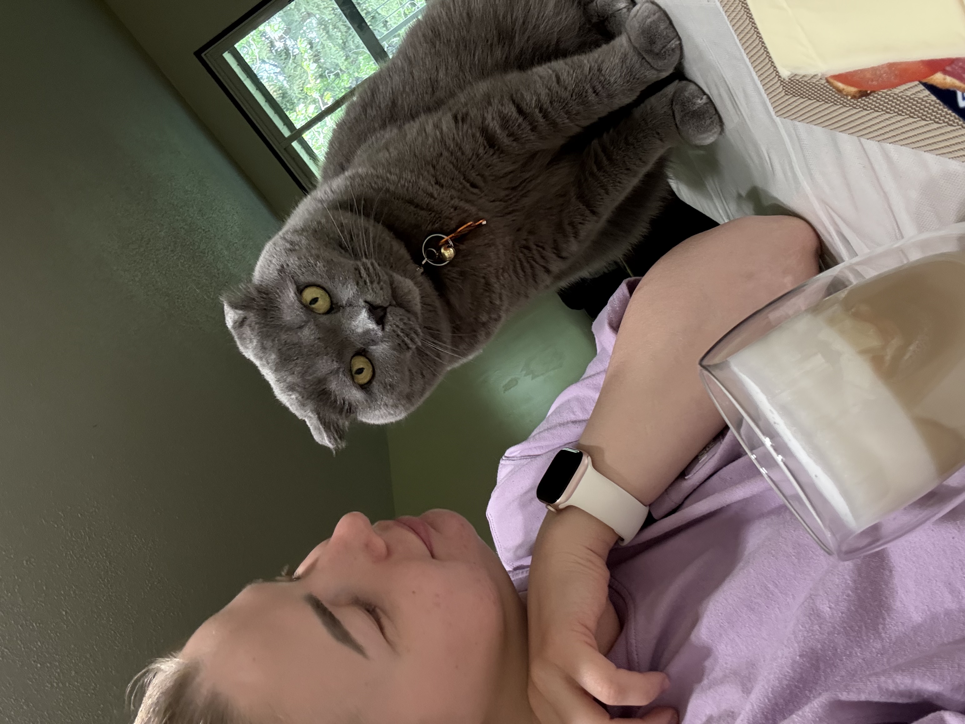 image-4