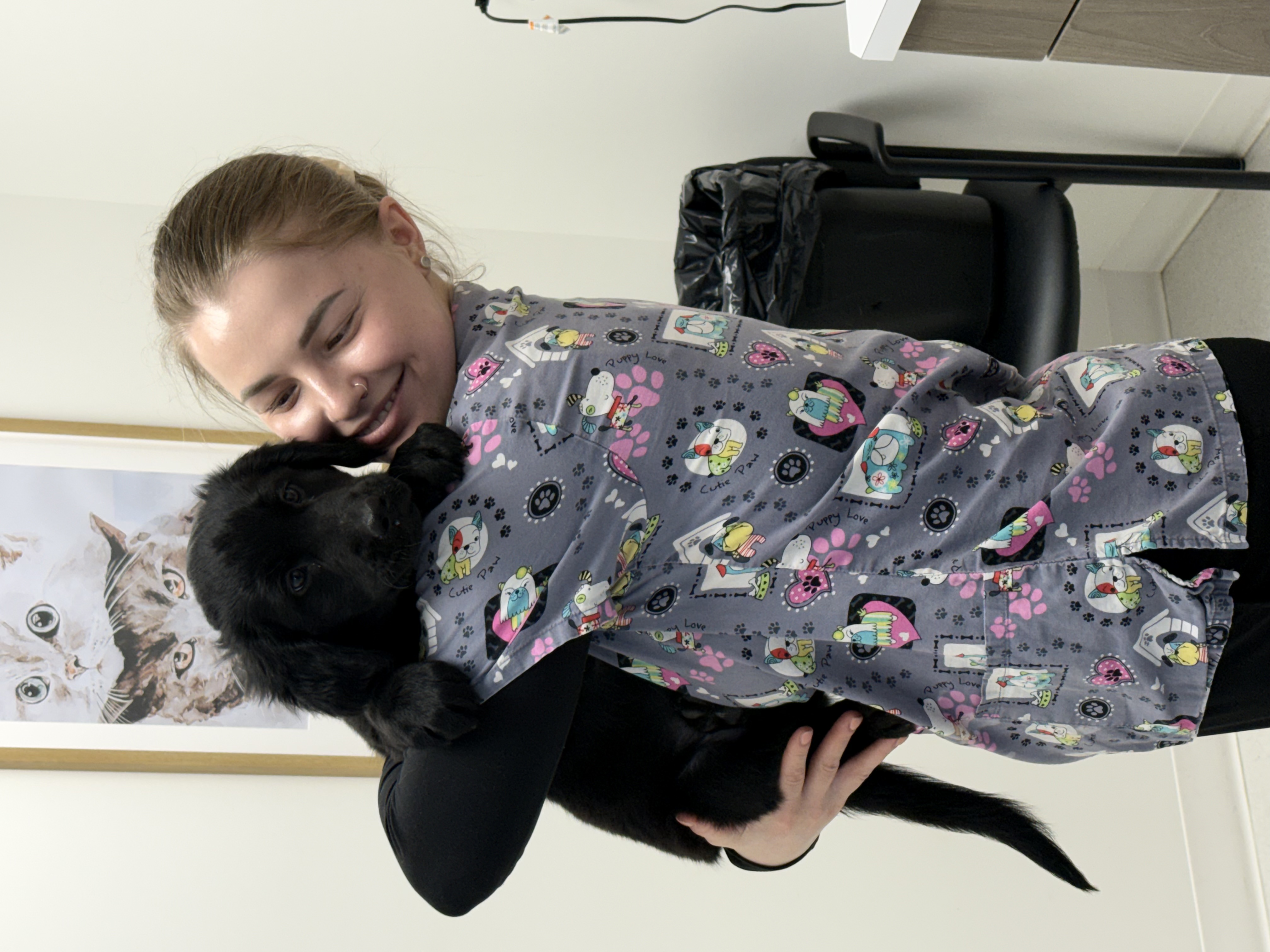 image-6