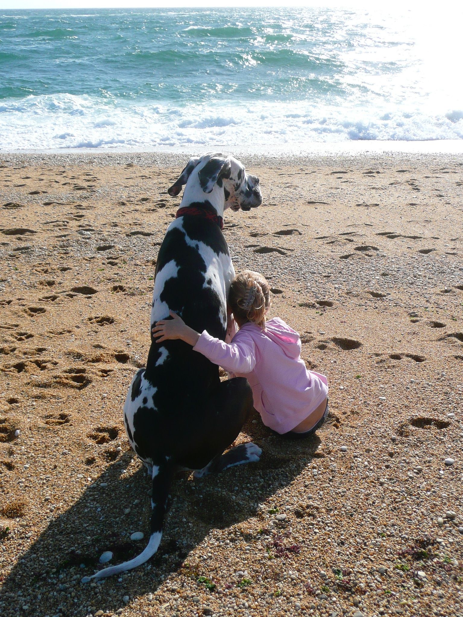 image-5
