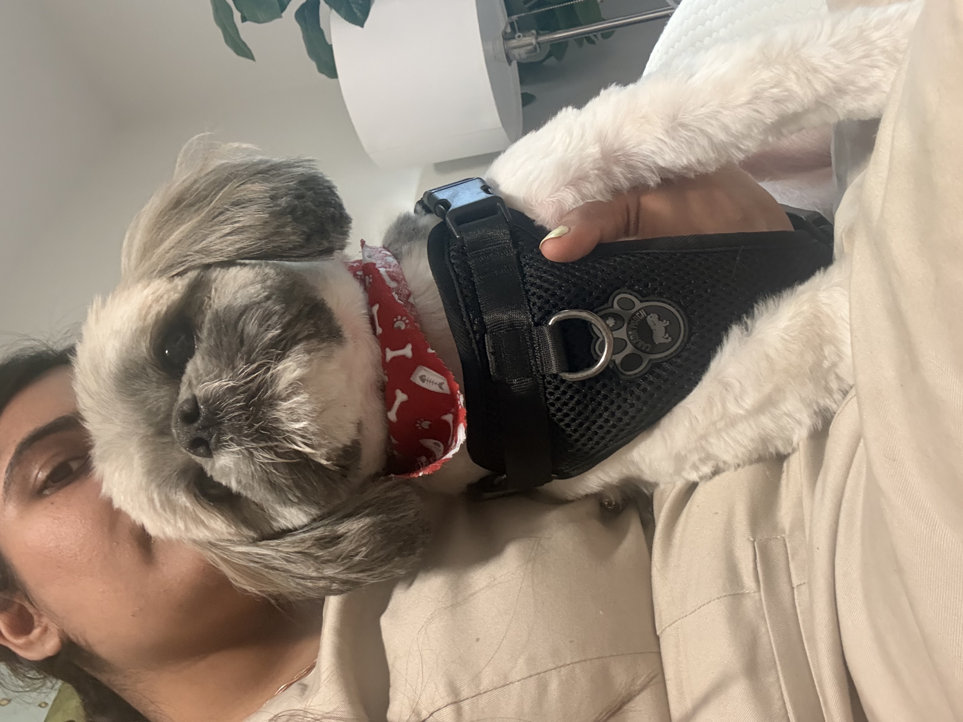 image-8