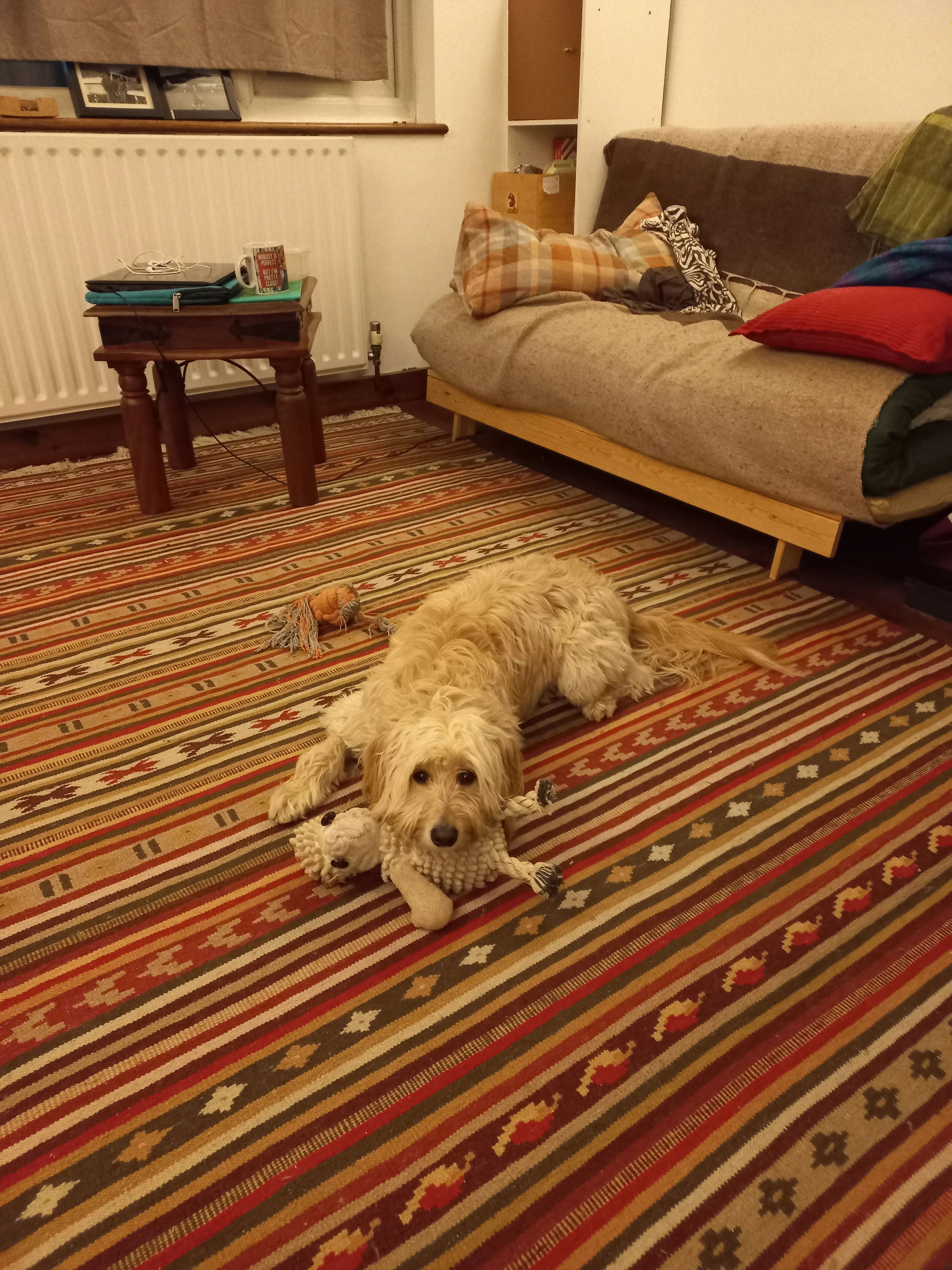image-13