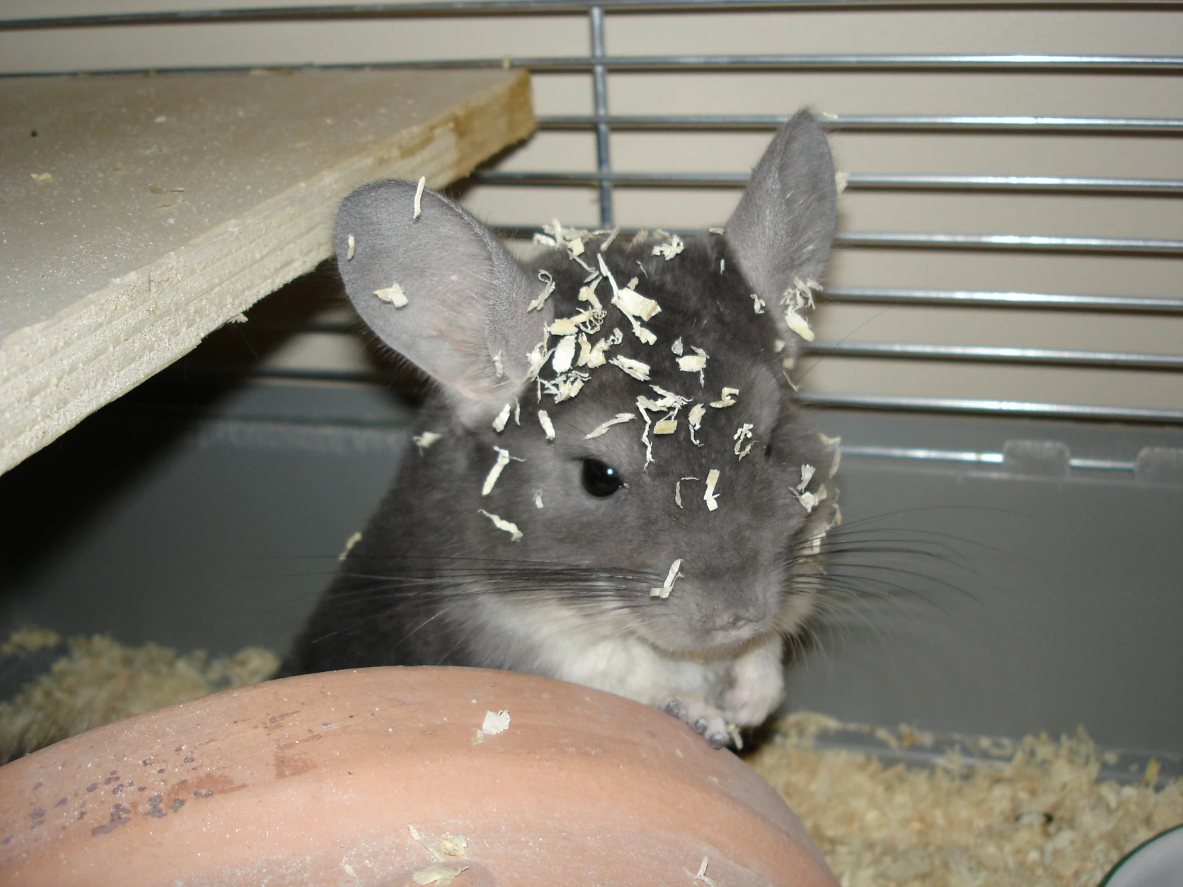 image-10