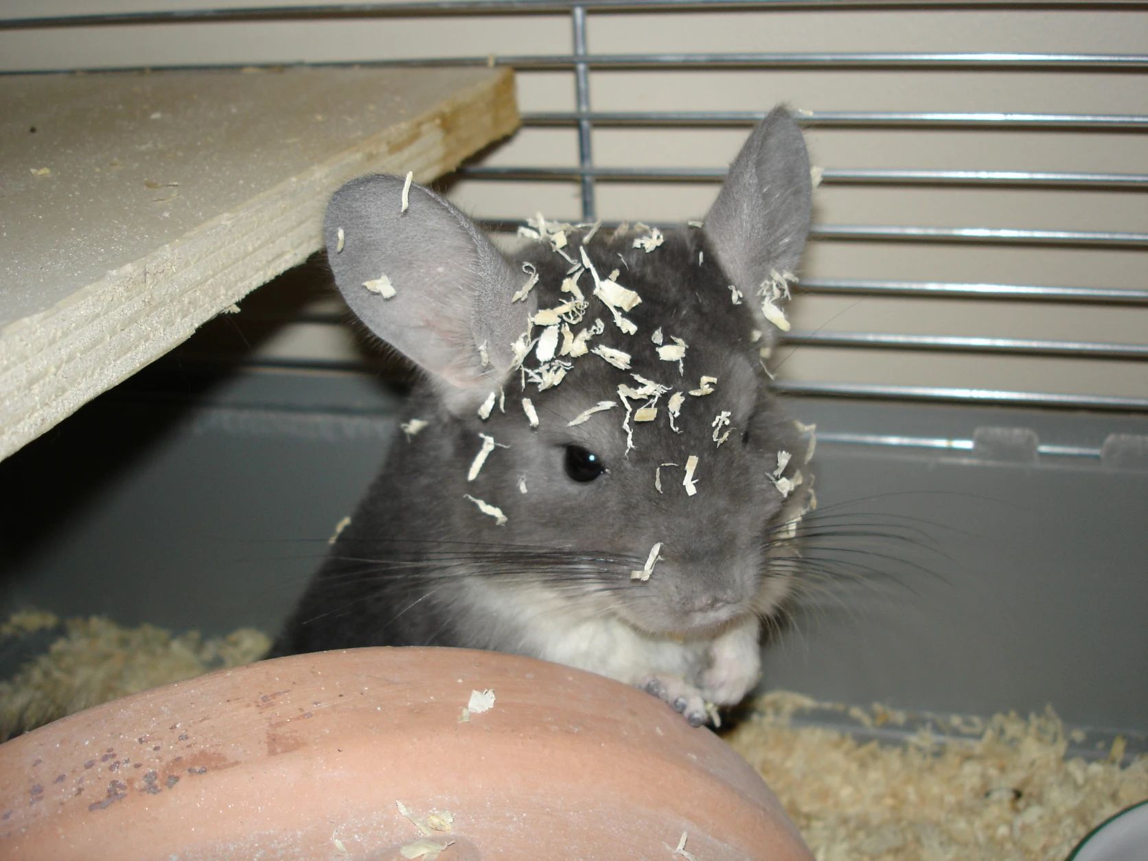 image-10