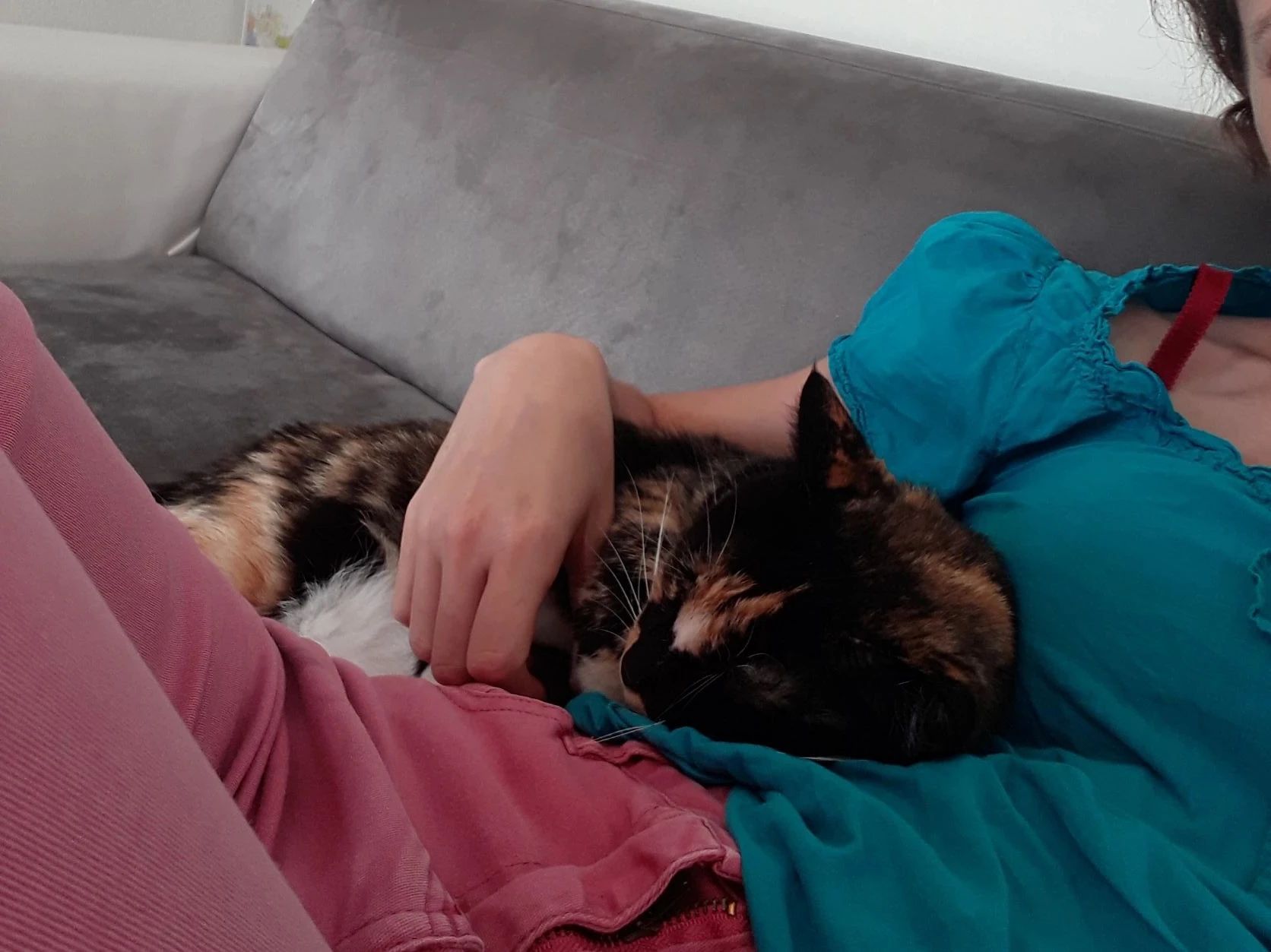 image-6