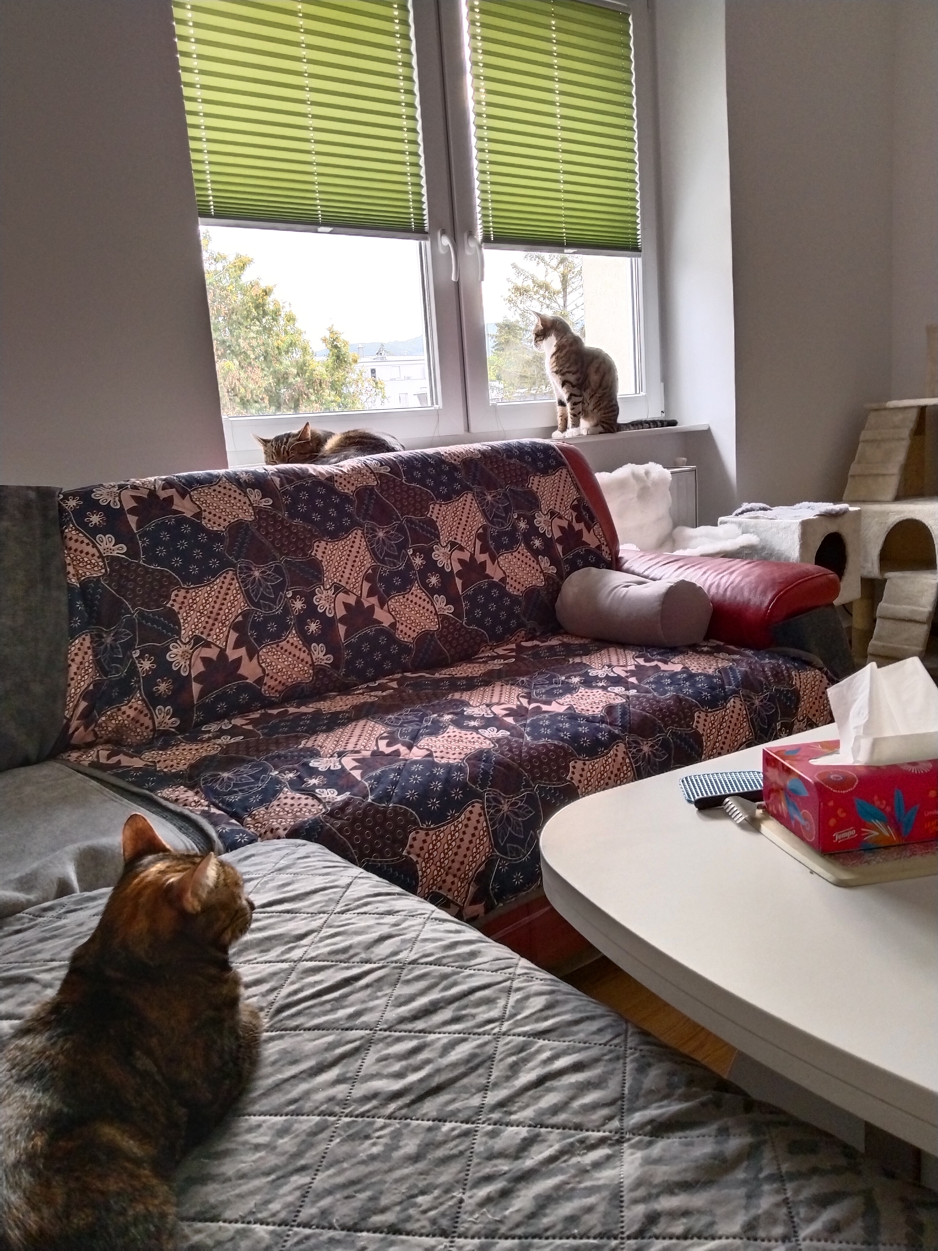 image-8