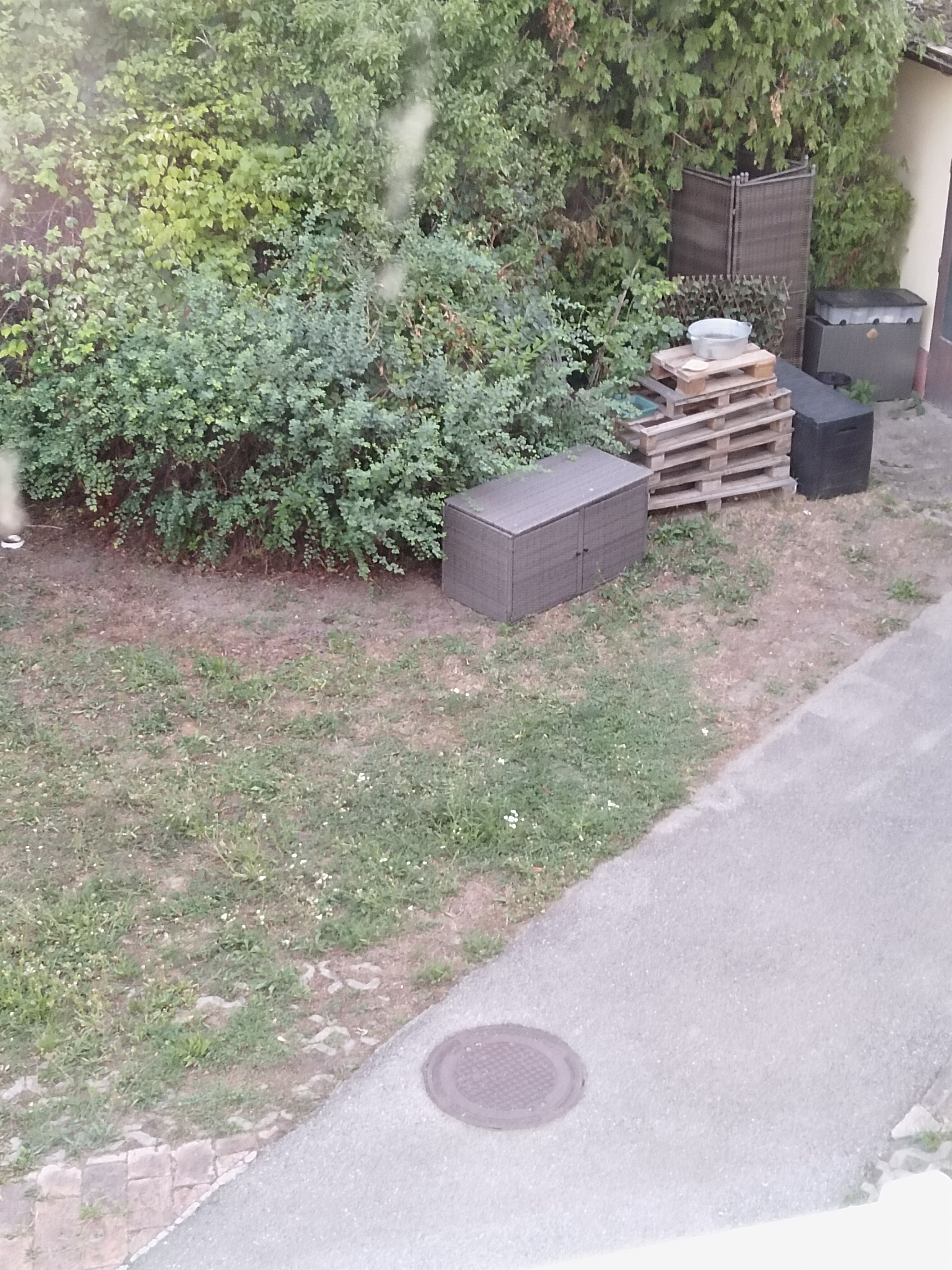 image-7
