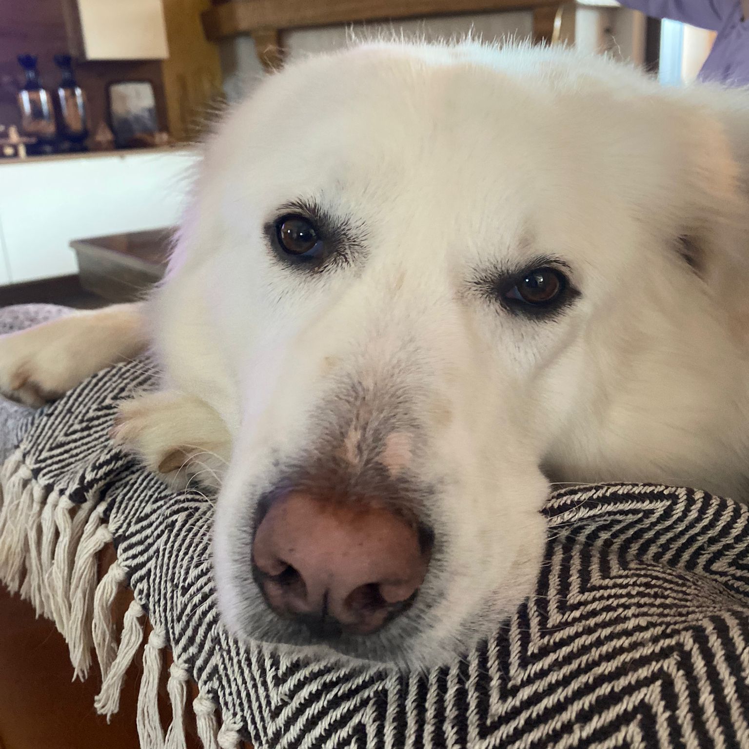 Max