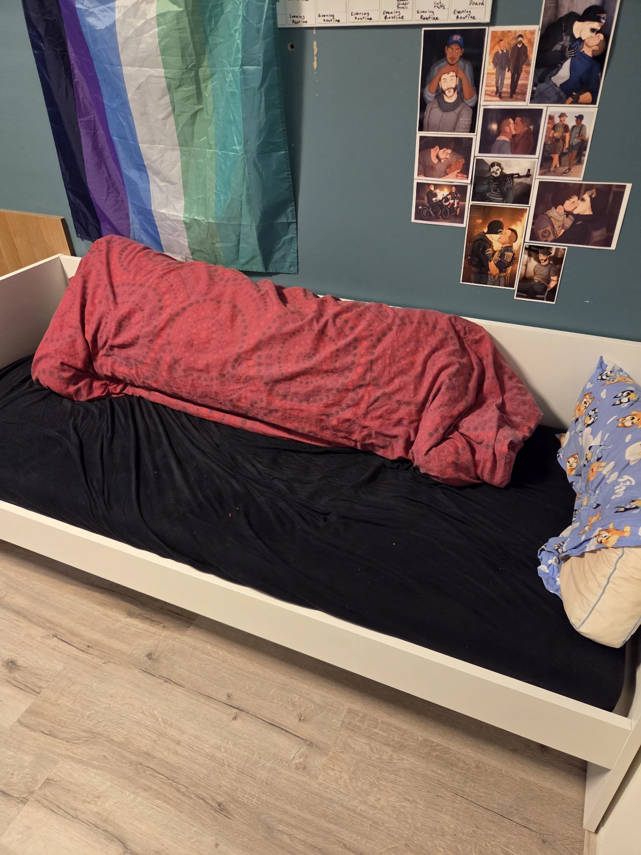 image-12