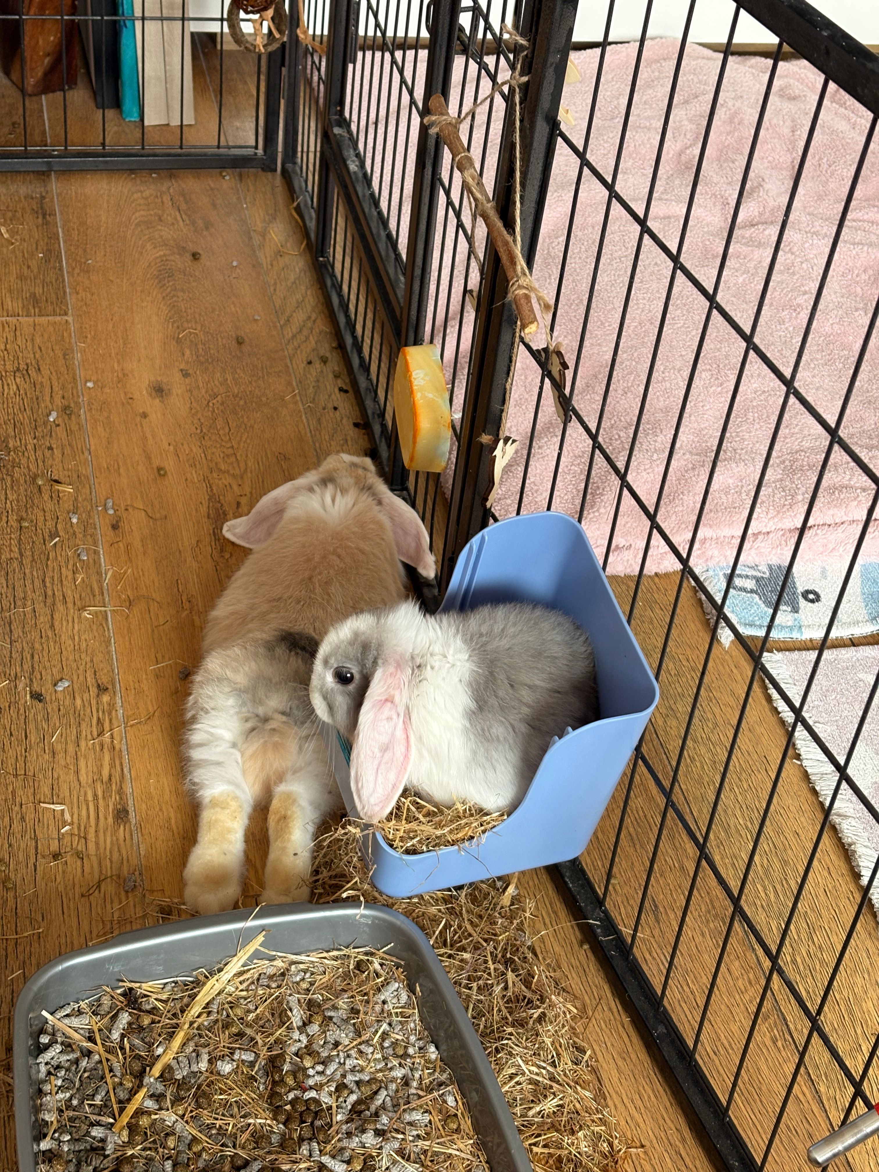 image-14