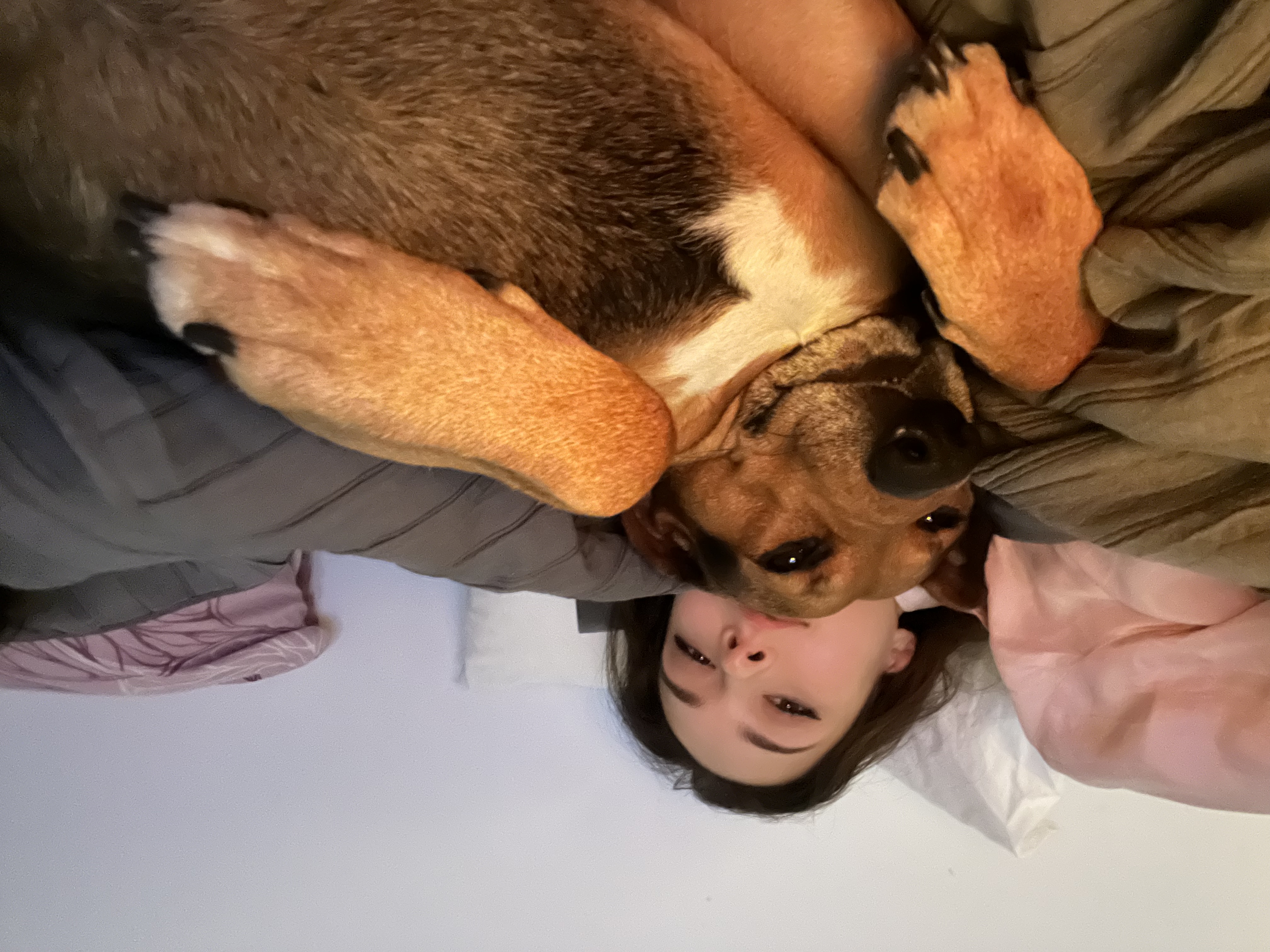 image-10