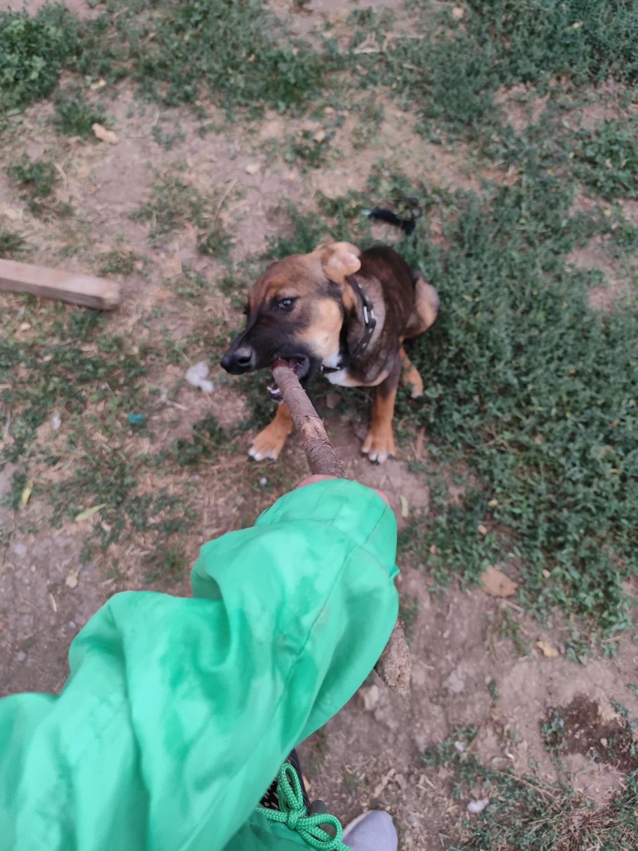 image-6