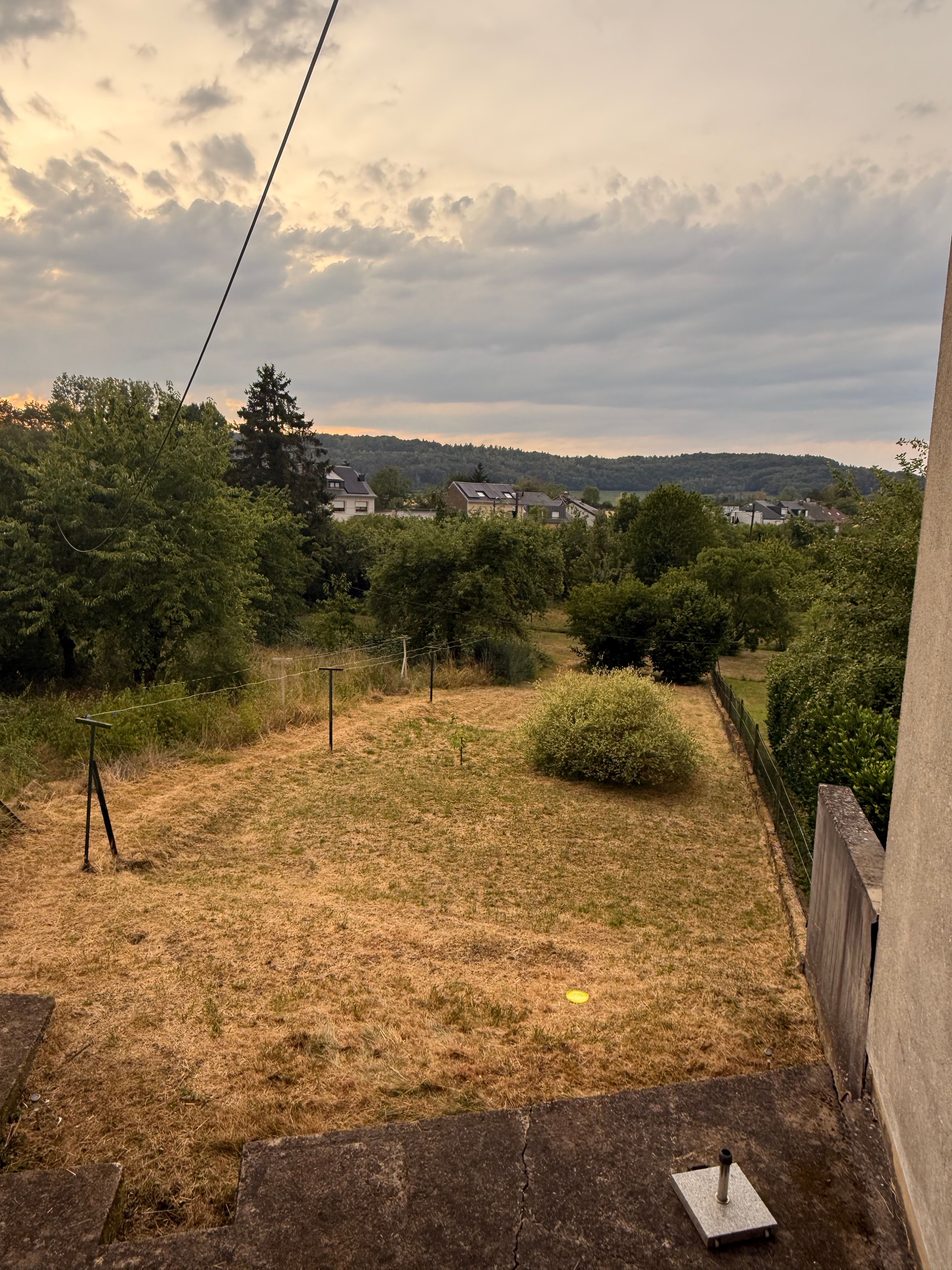 image-19