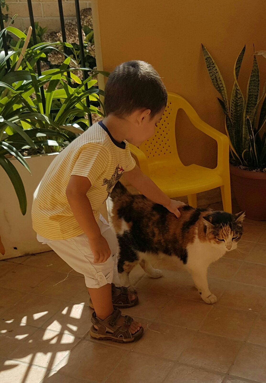 image-5