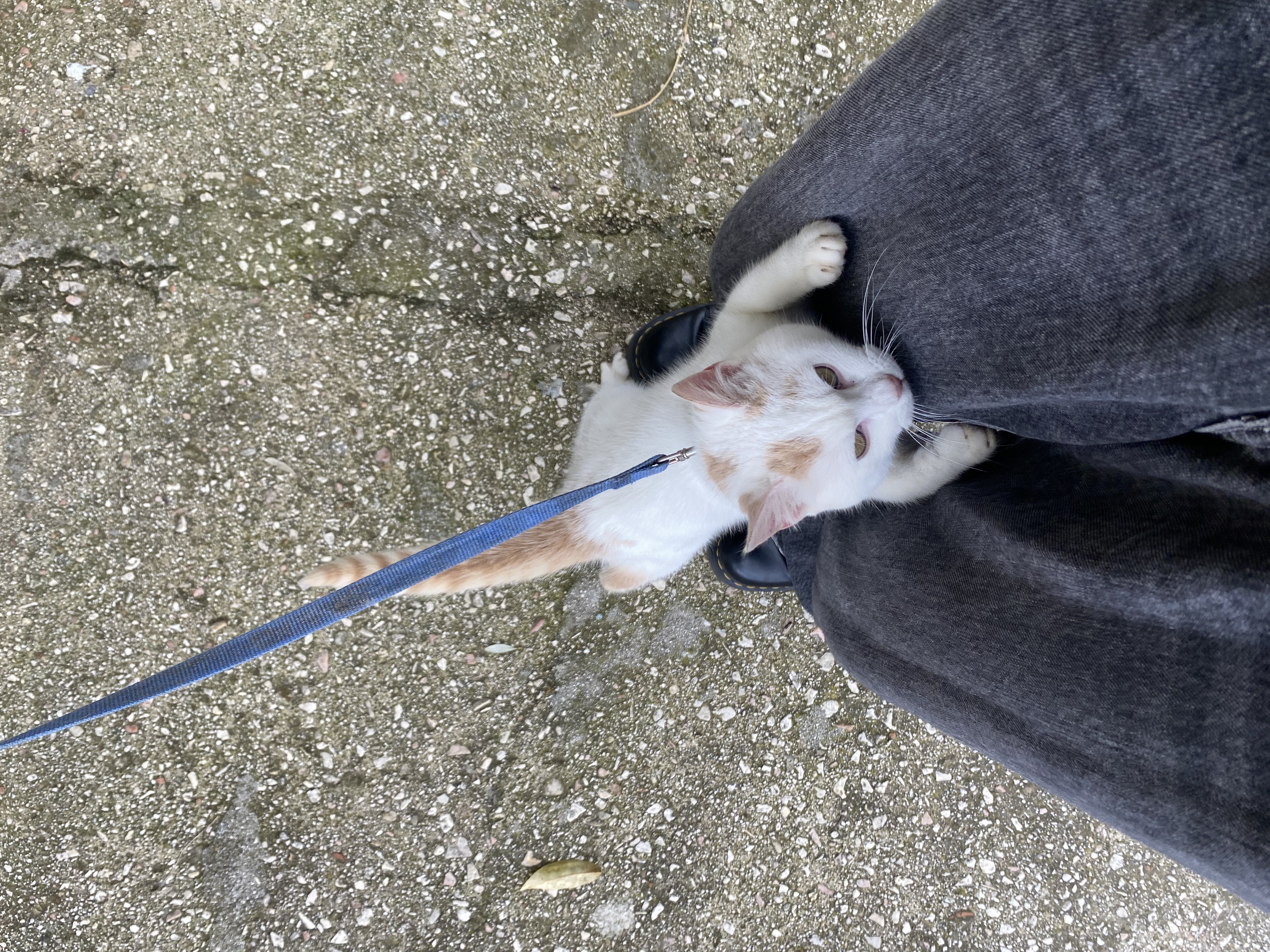image-6