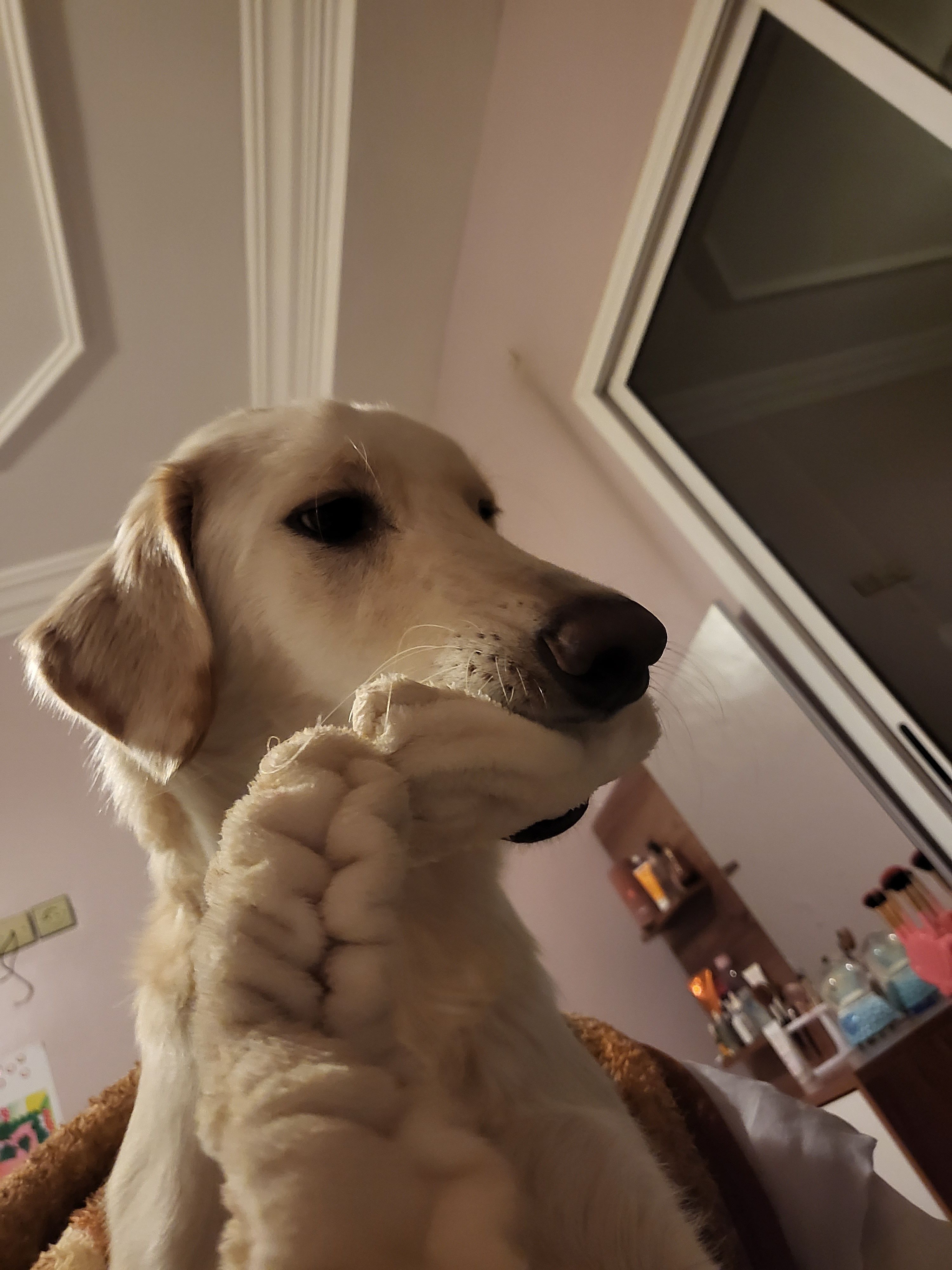 image-6