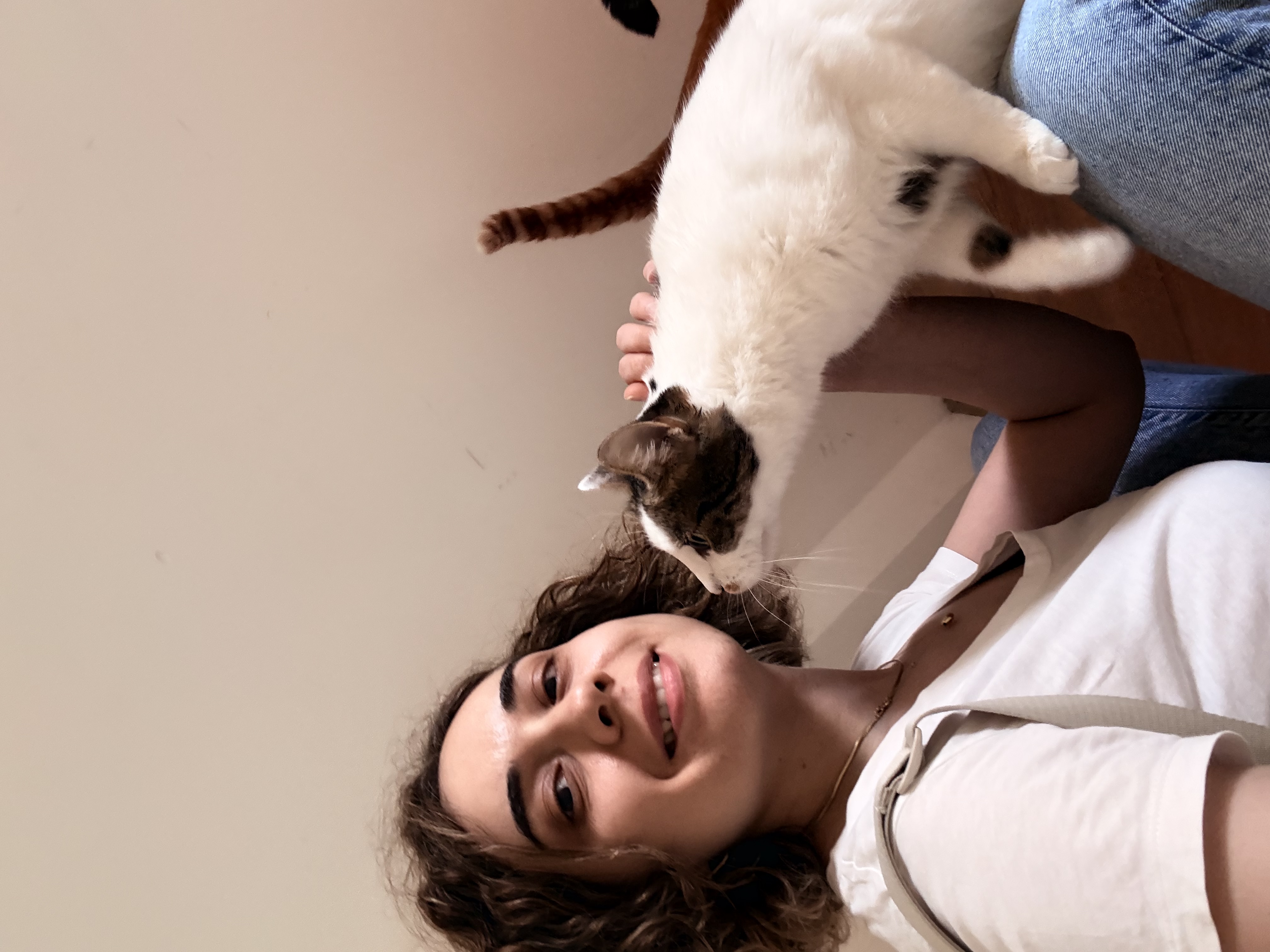 image-7