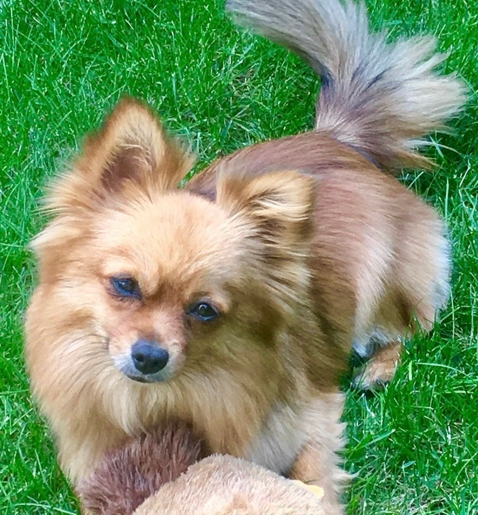 image-44