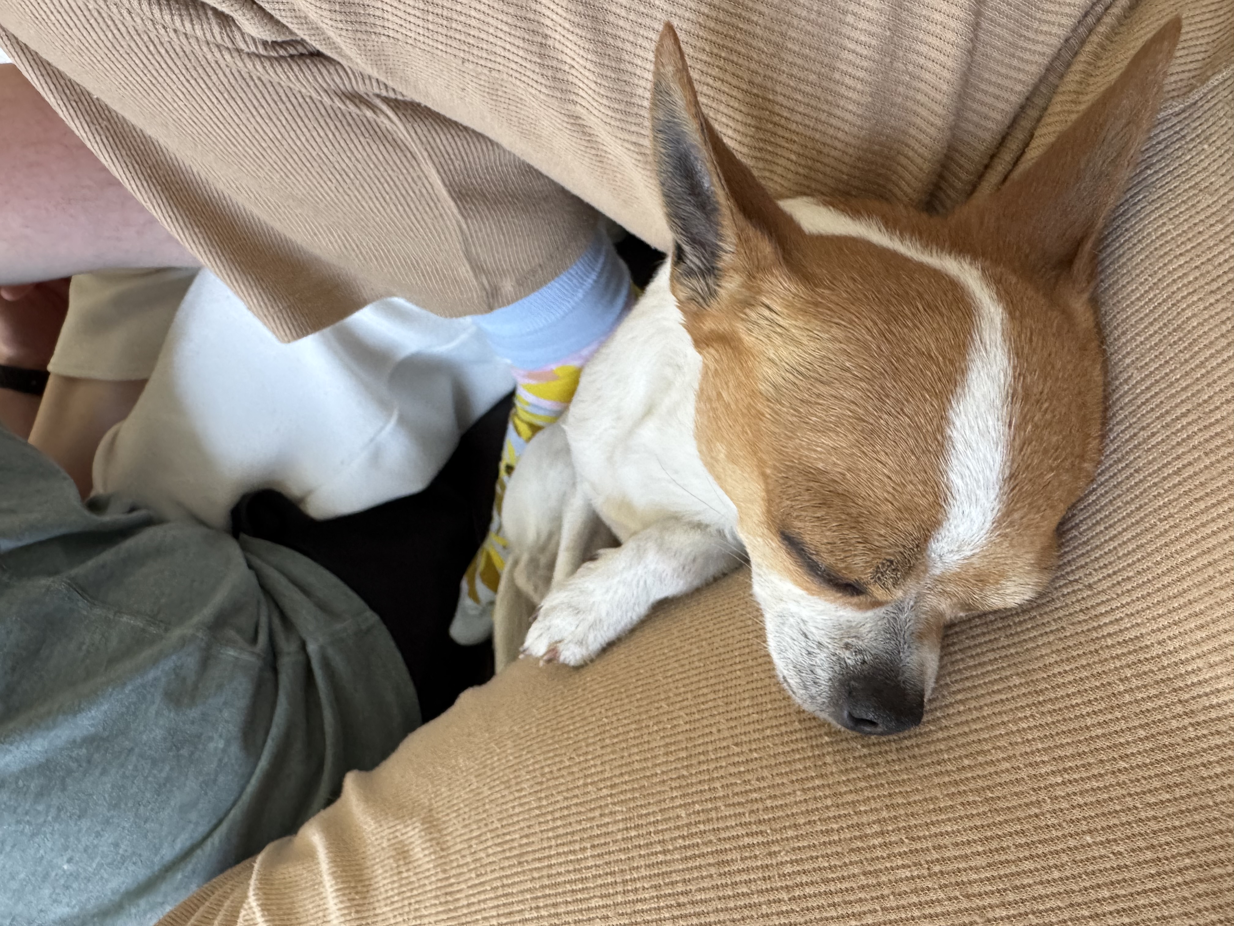 image-4