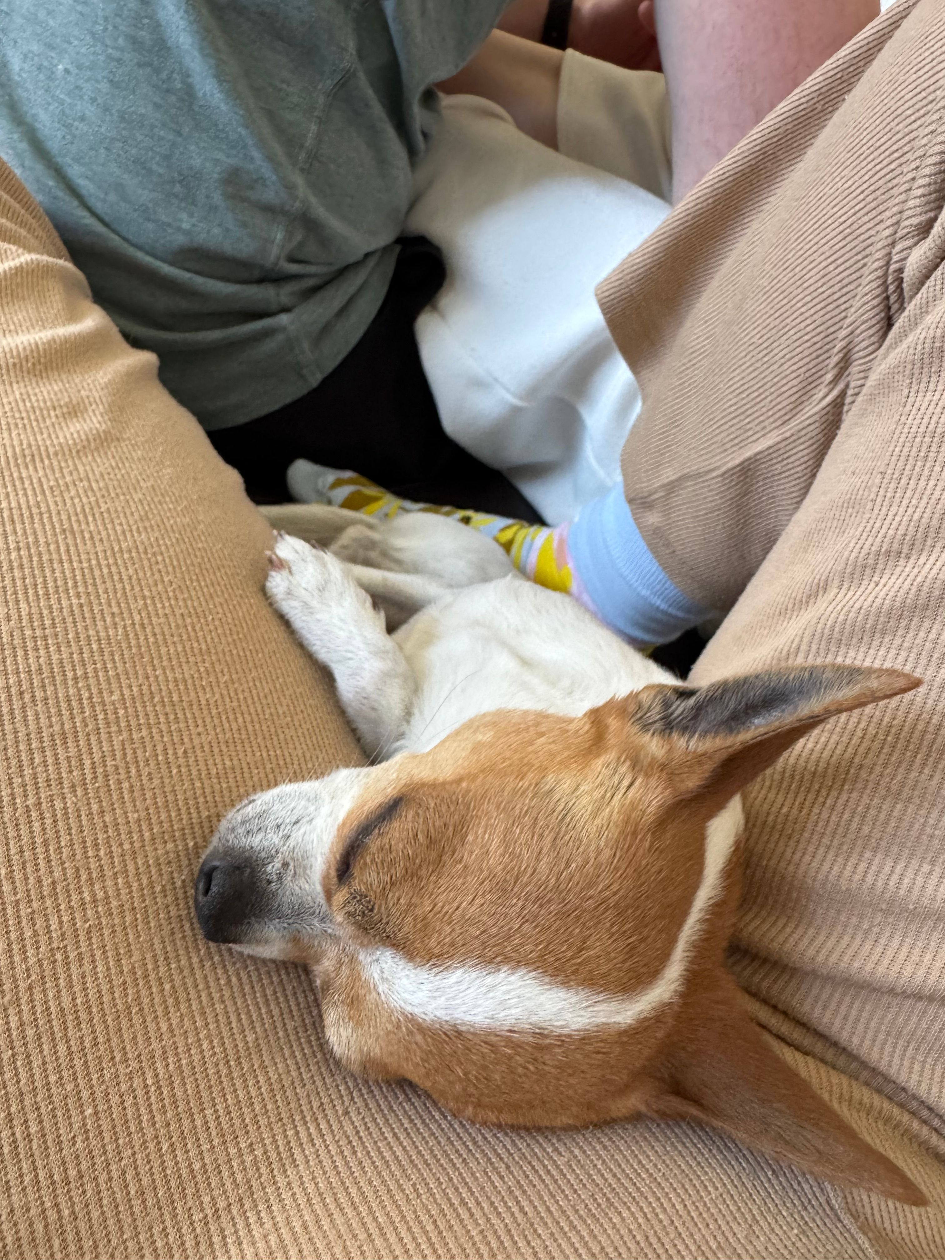 image-4