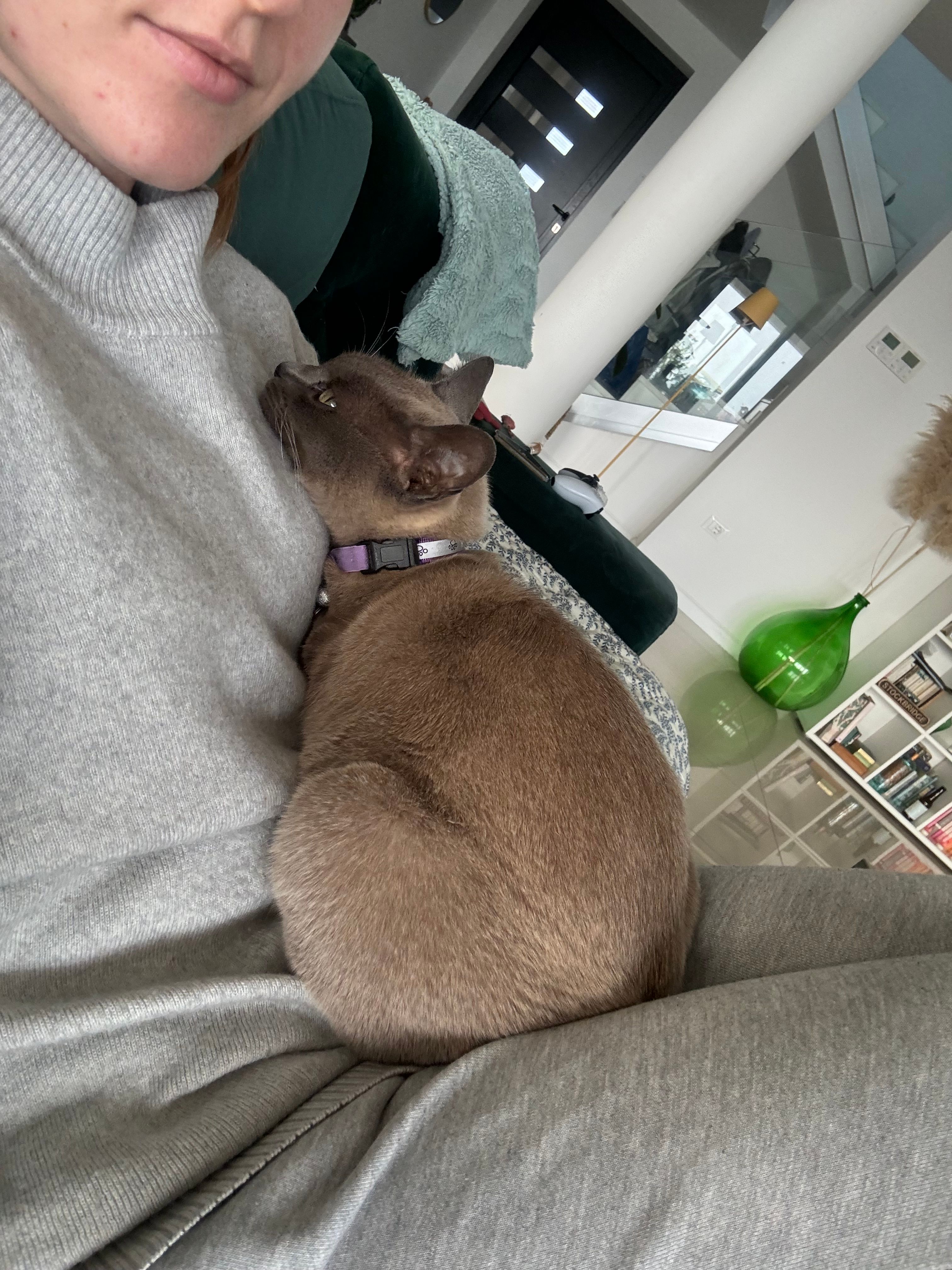 image-10