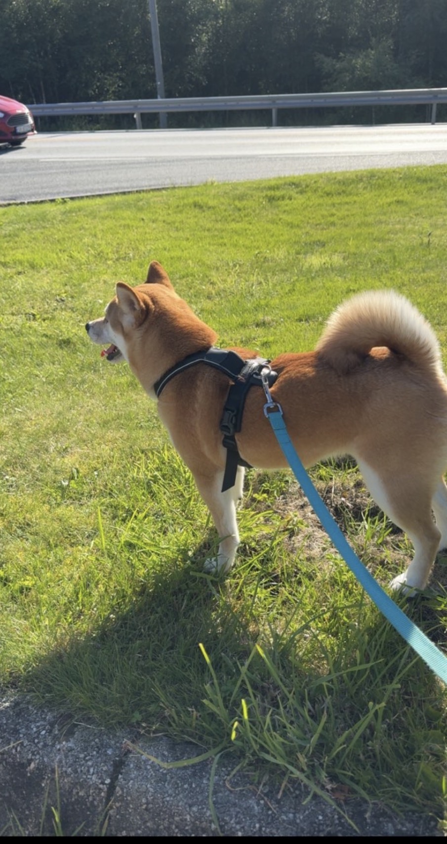 image-5