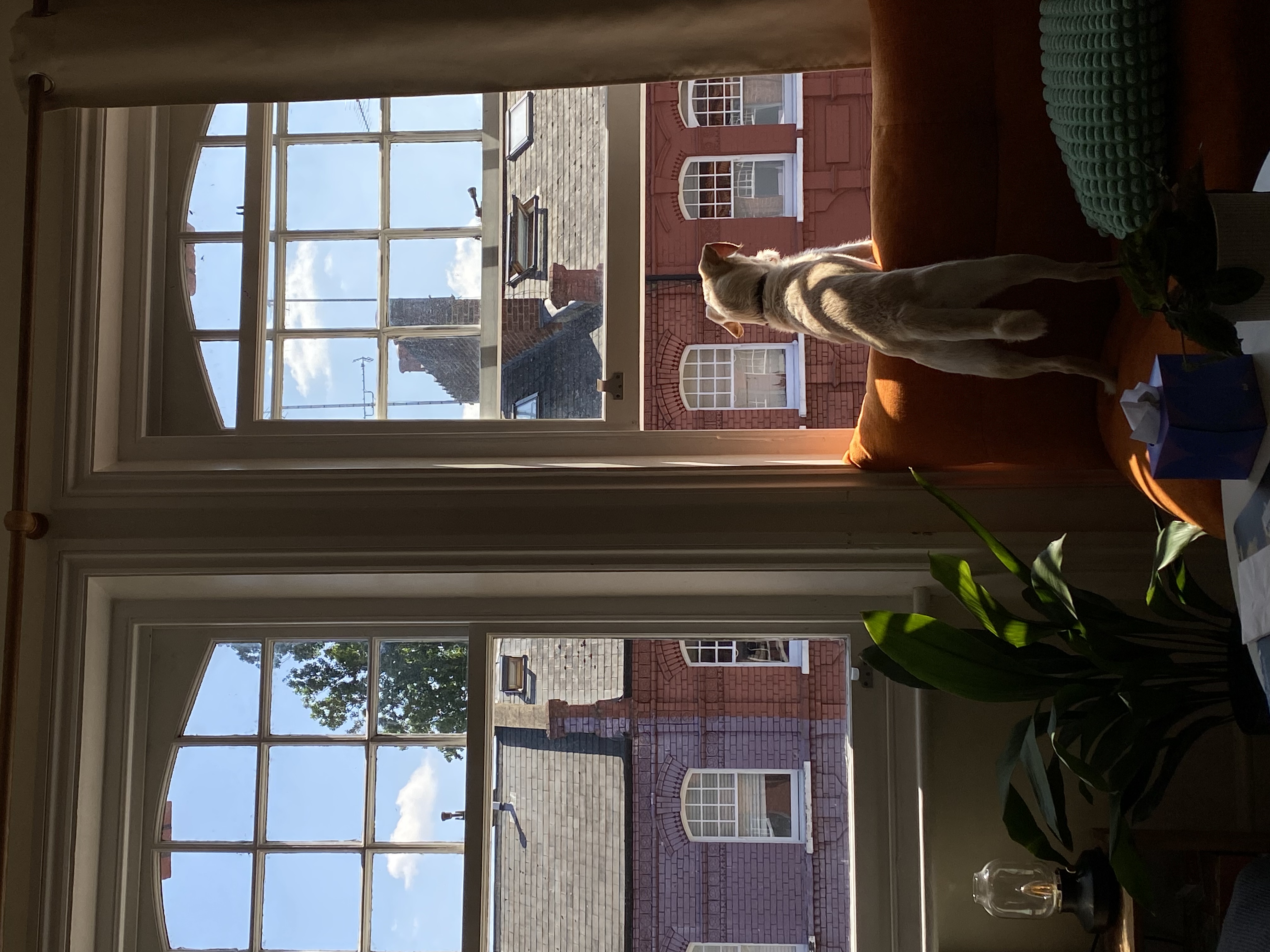 image-11