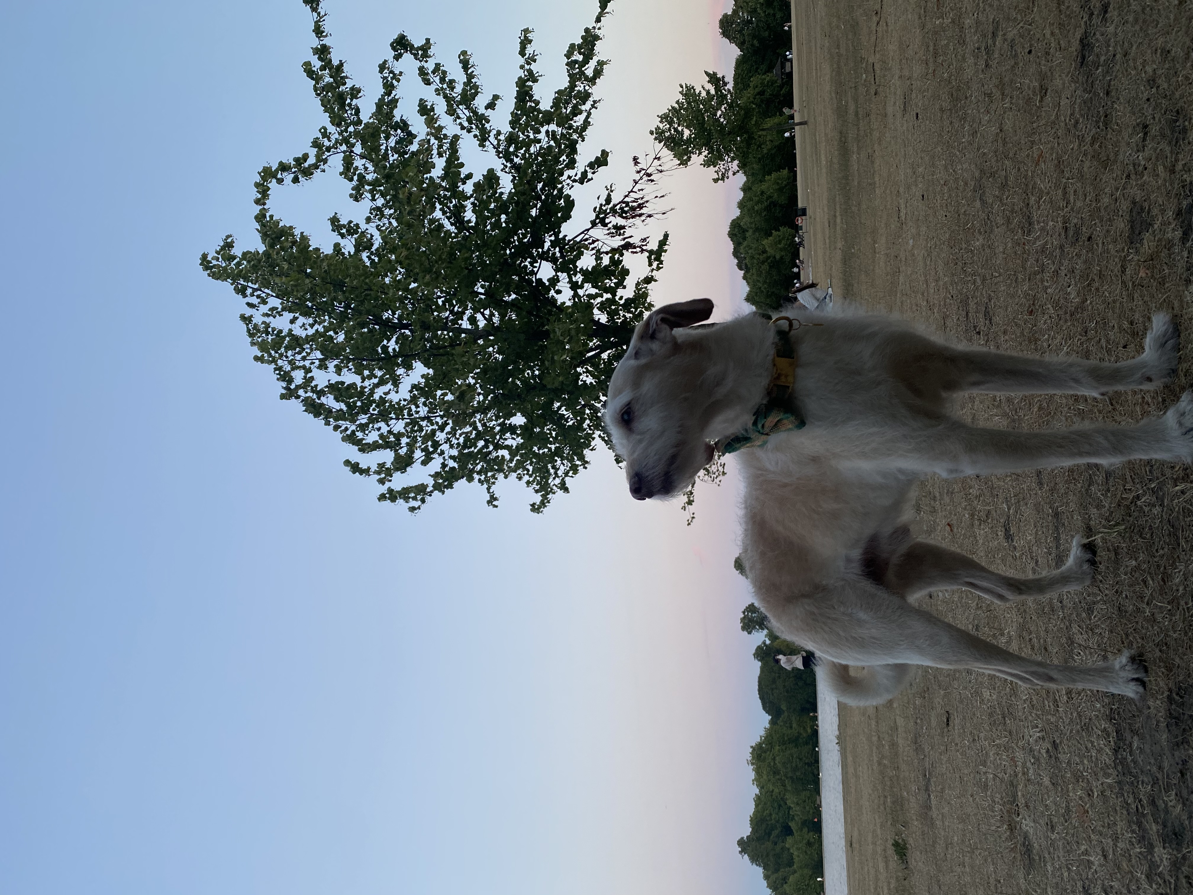 image-10