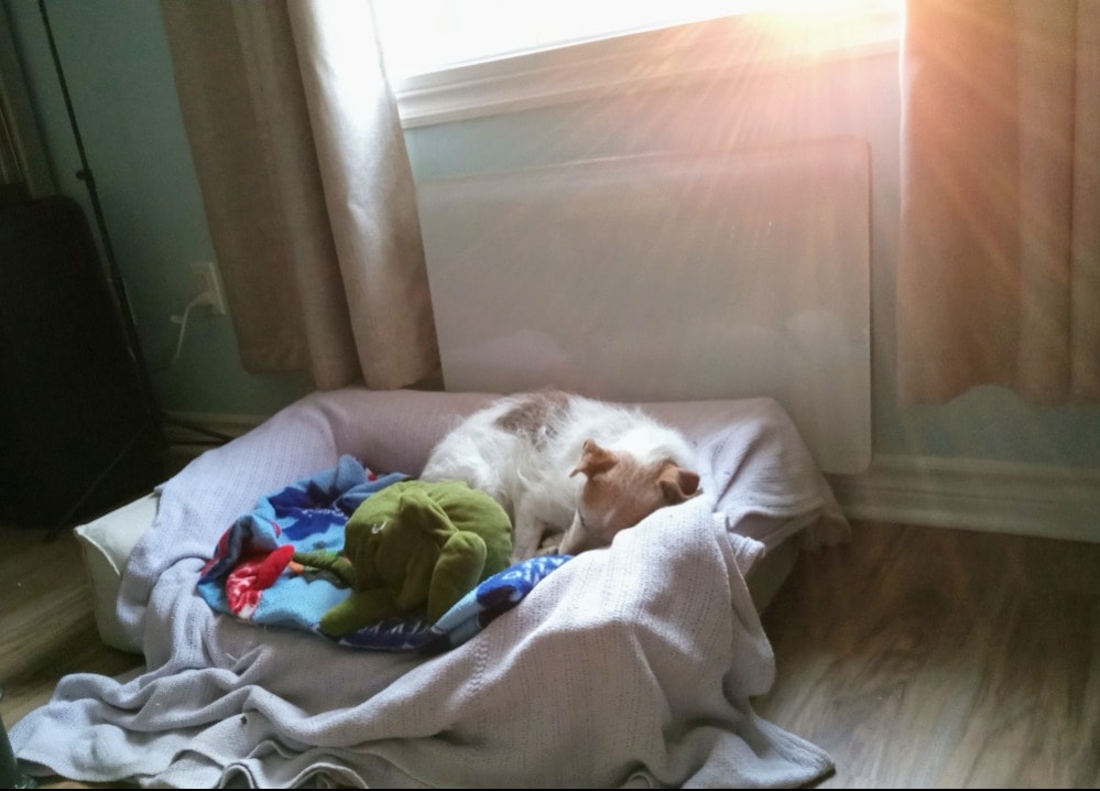 image-13