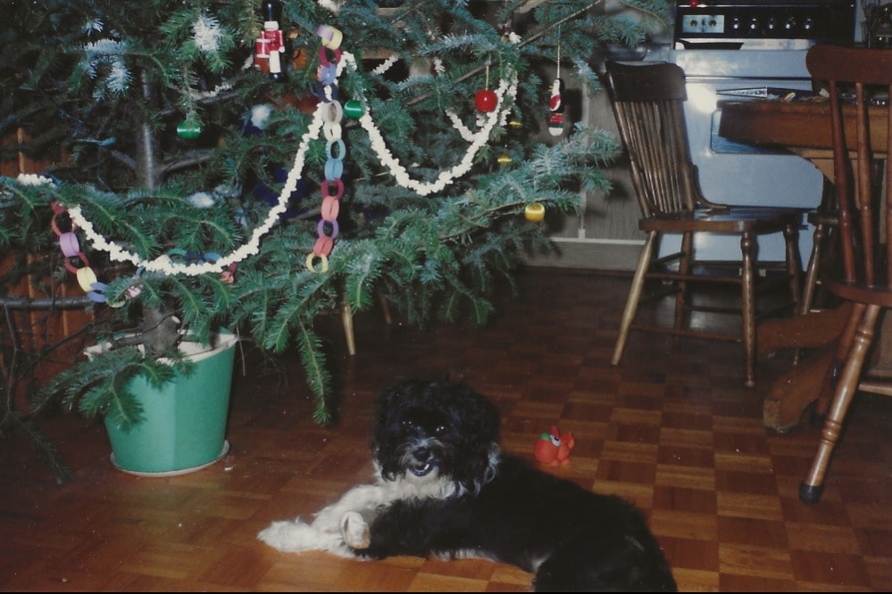 image-29