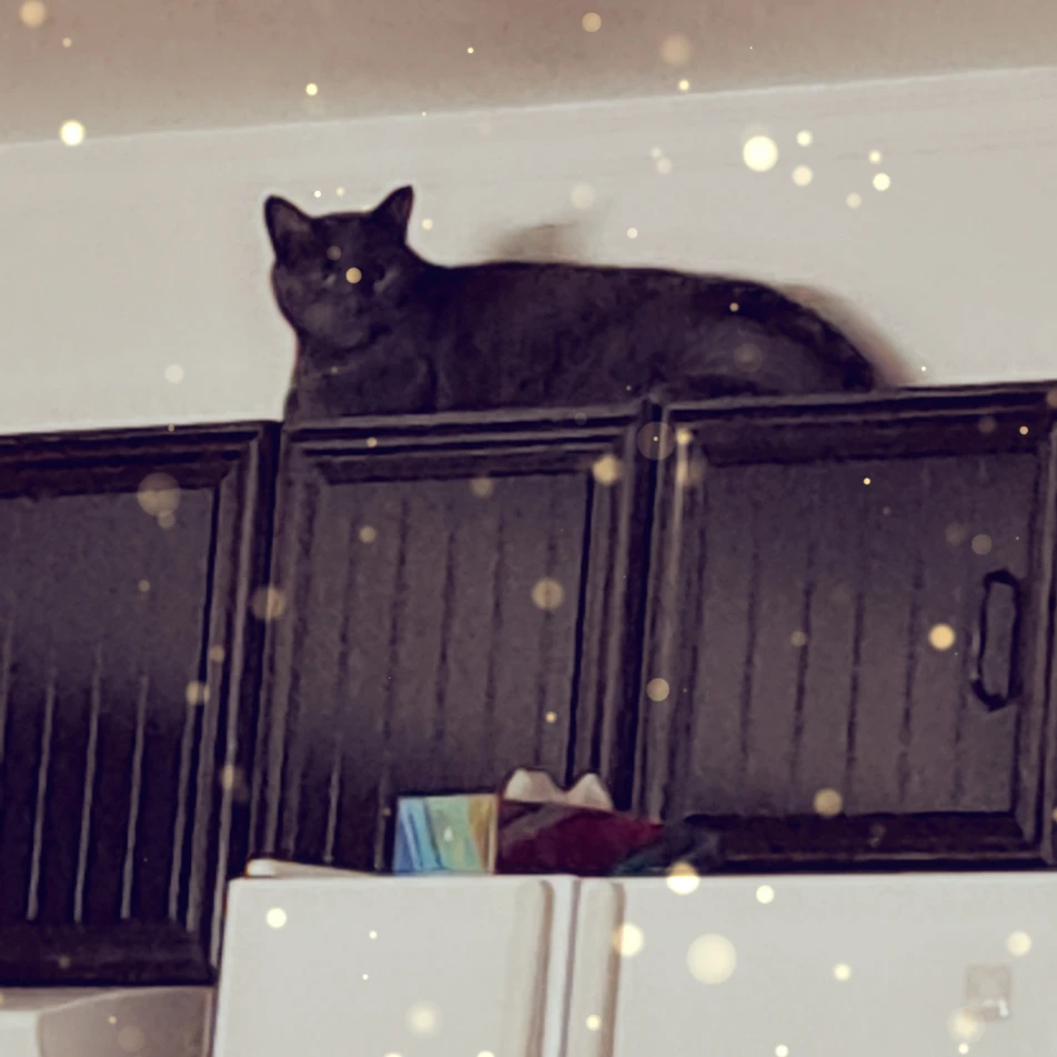 boris