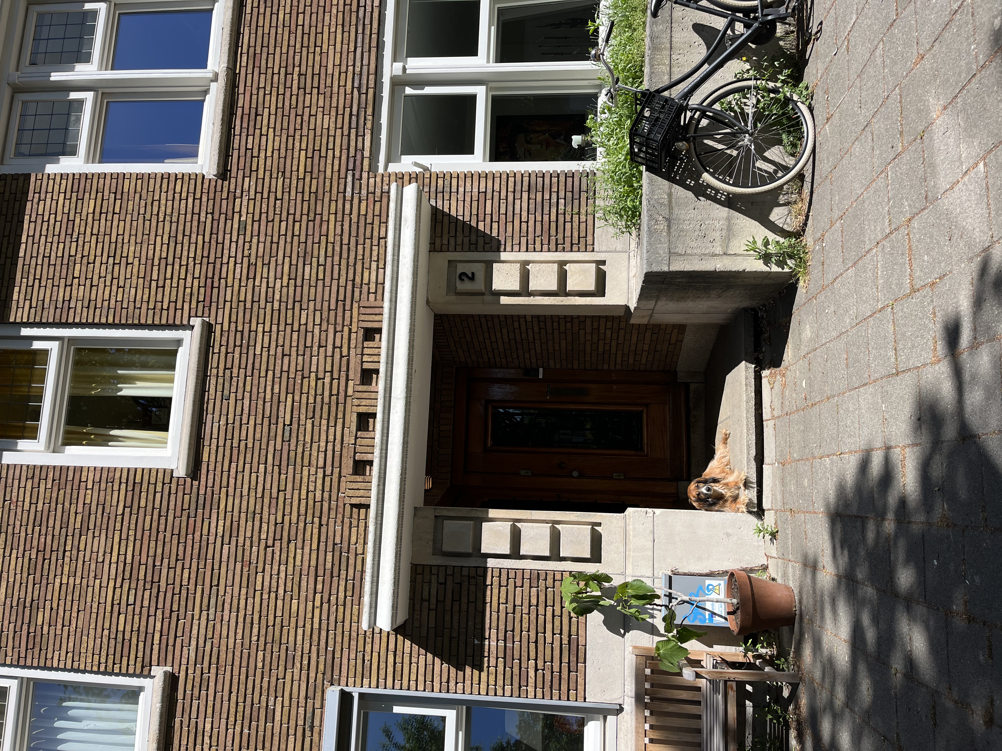image-18