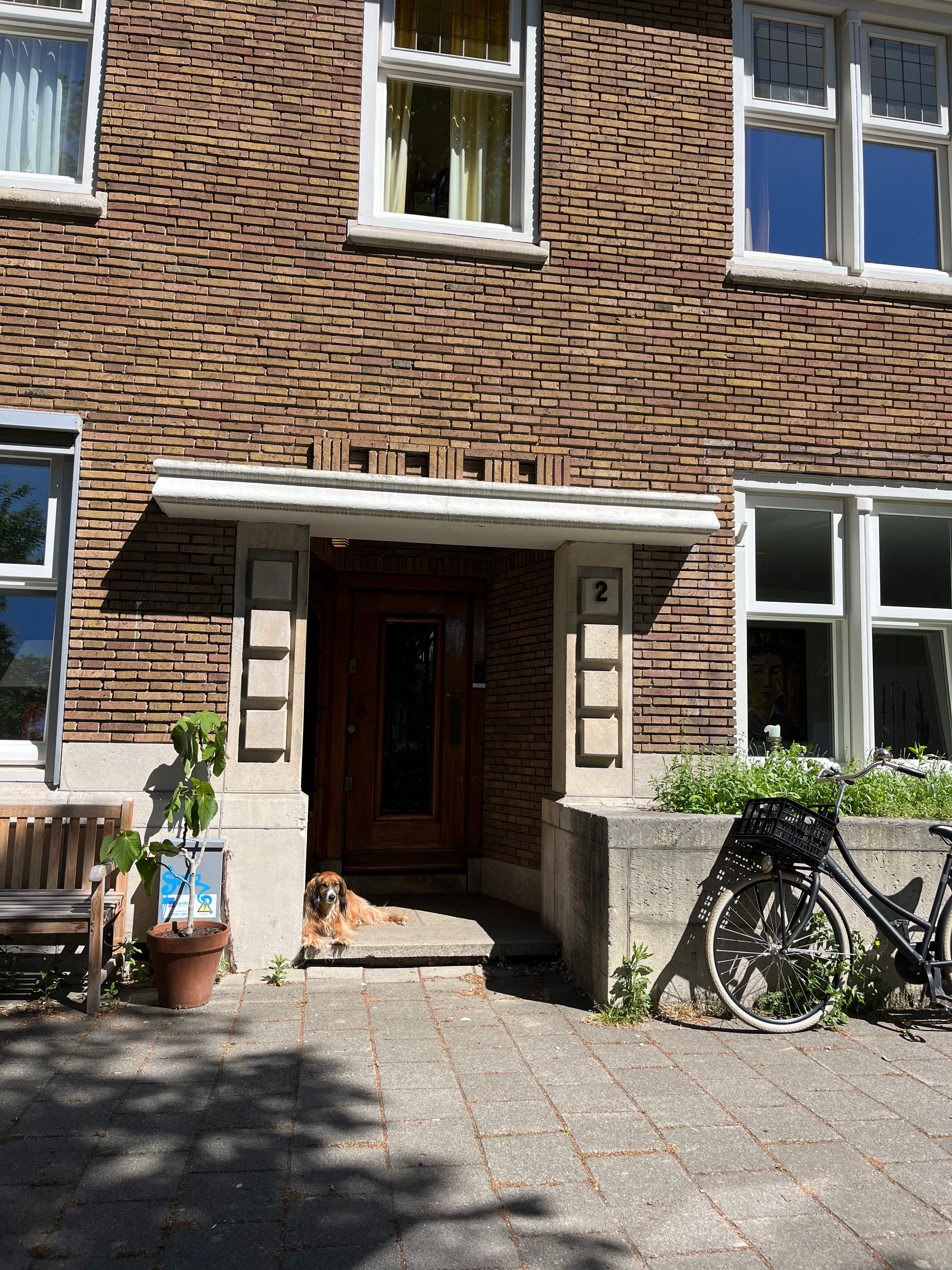 image-18
