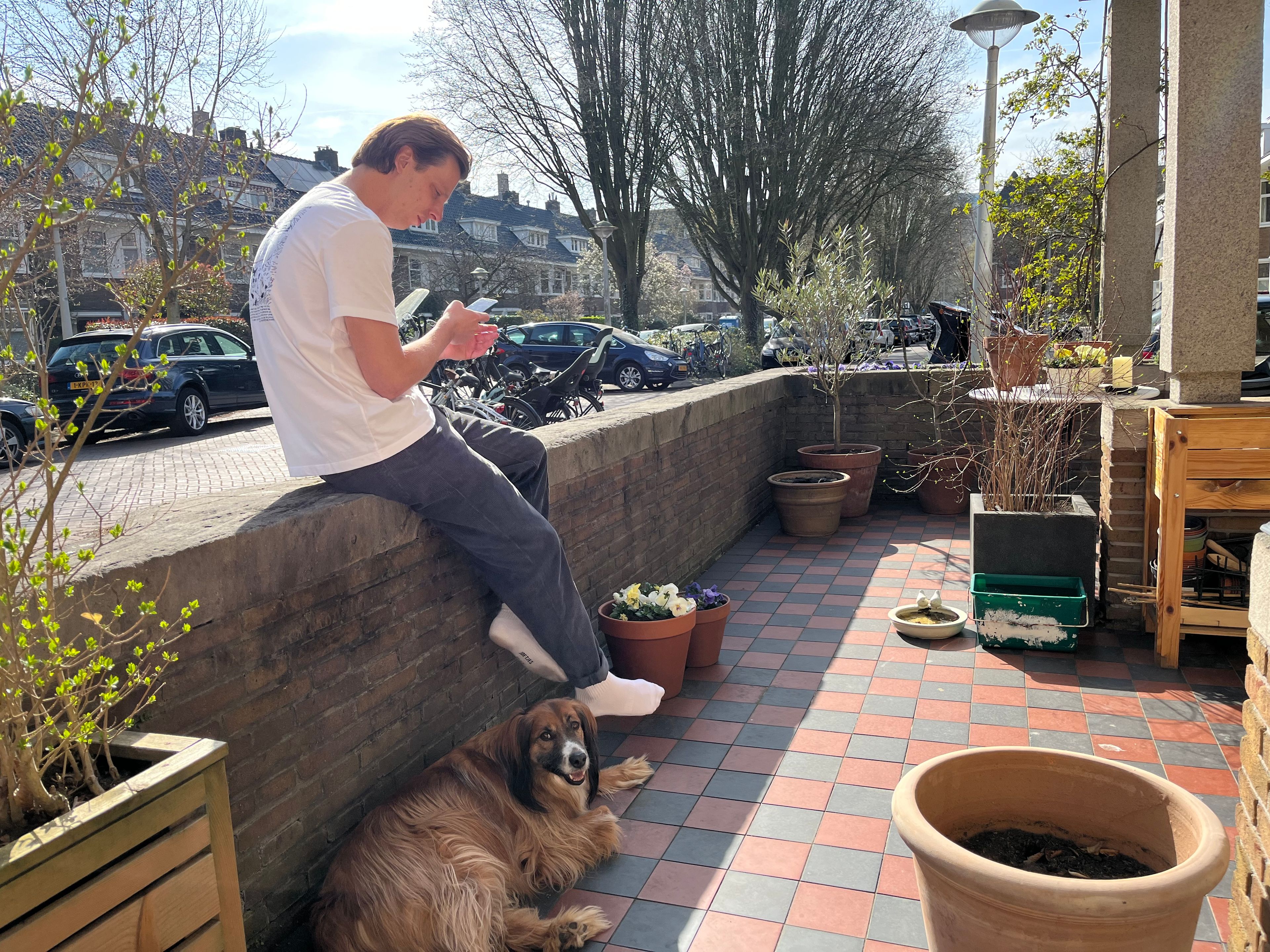 image-19