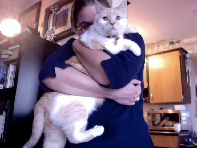 image-4