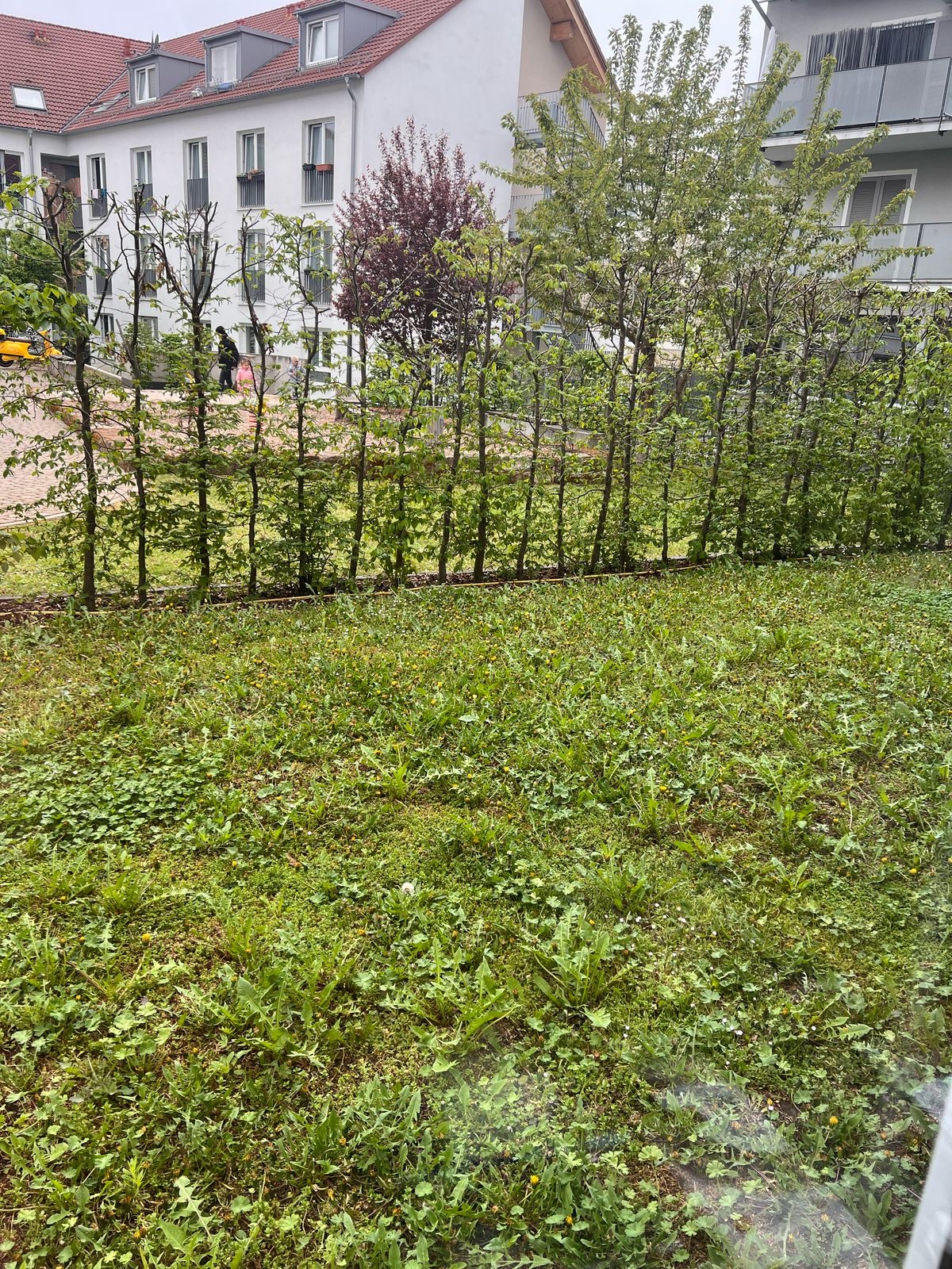 image-27