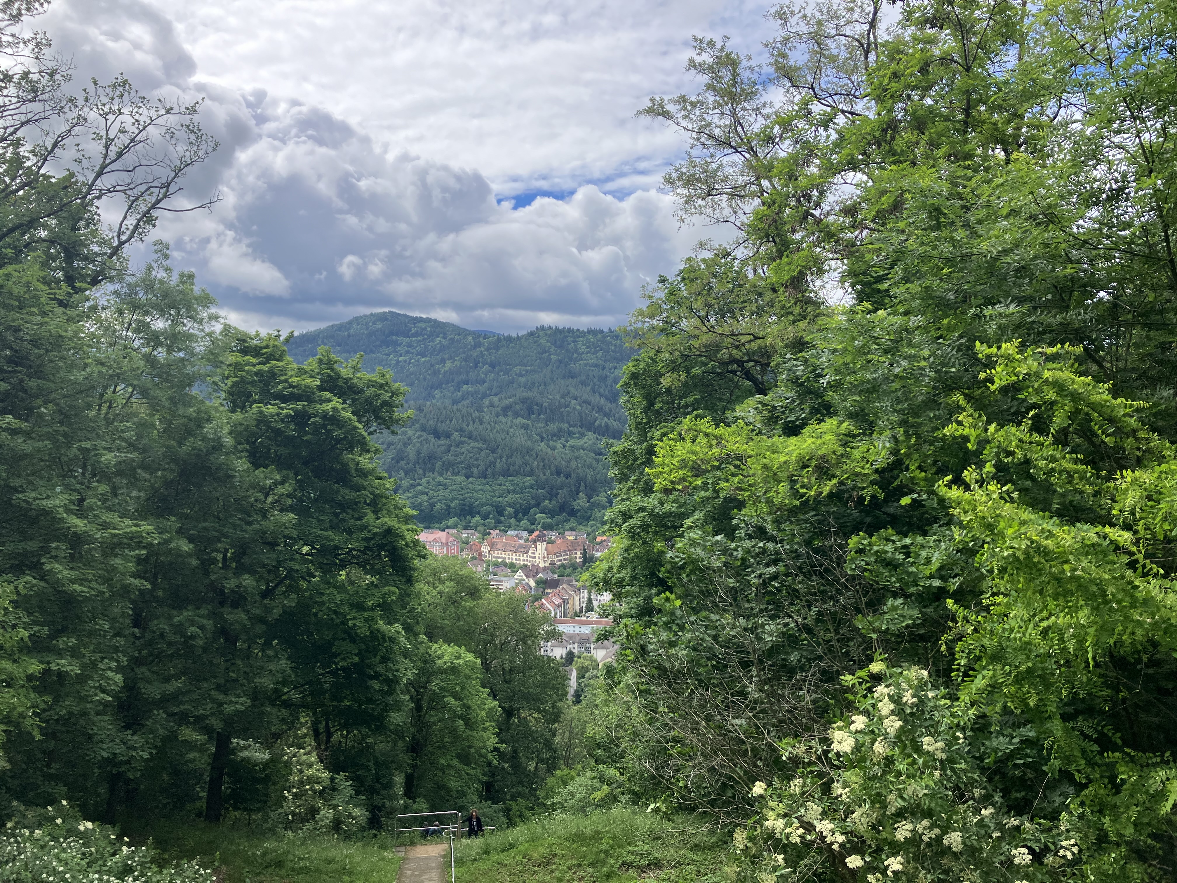 image-11