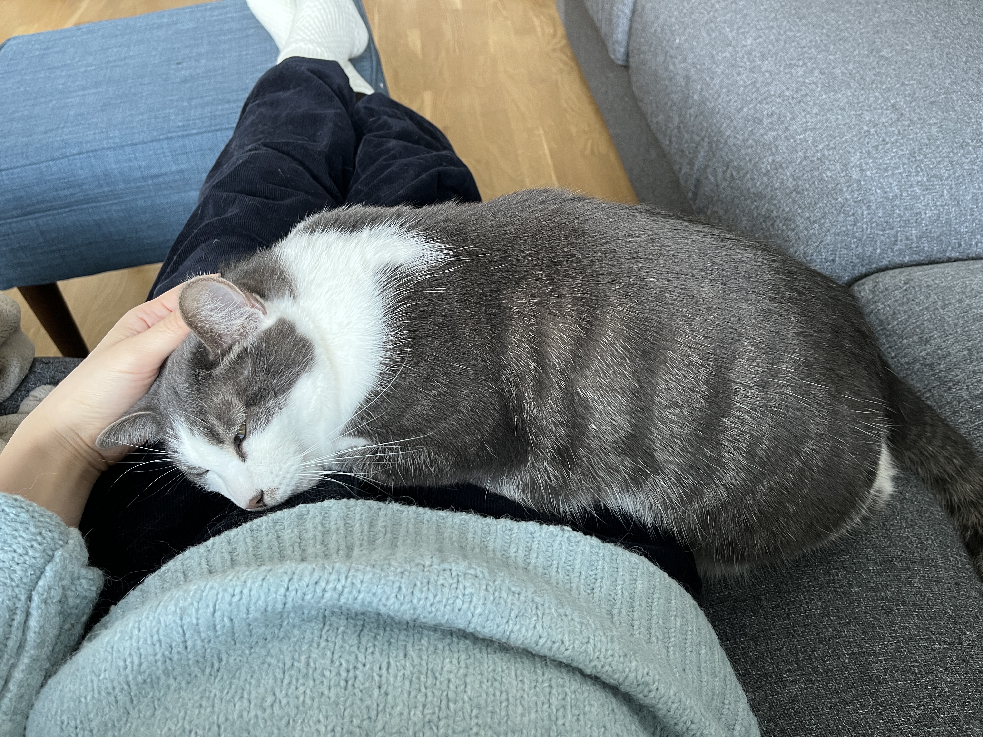 image-7
