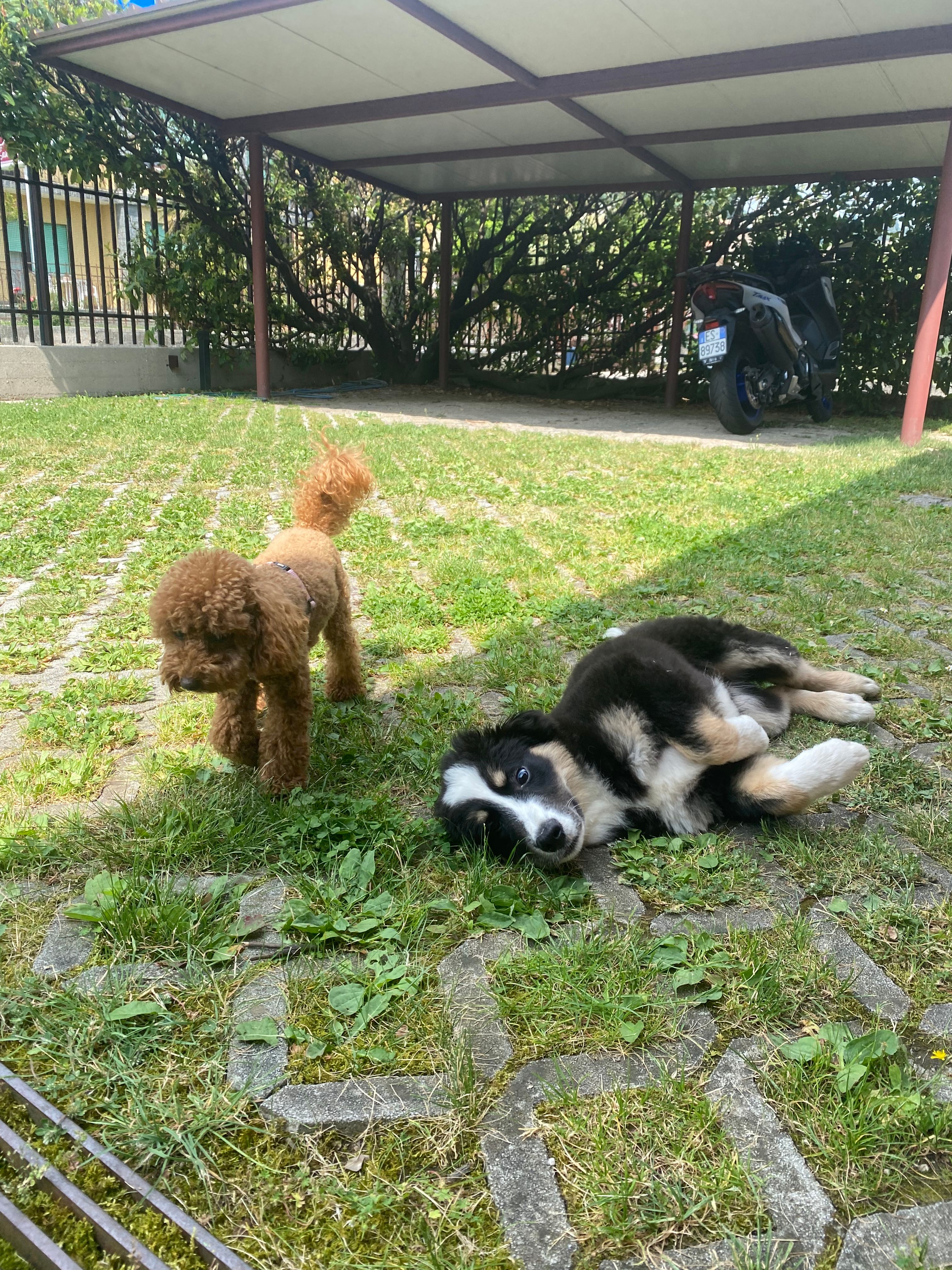 image-7