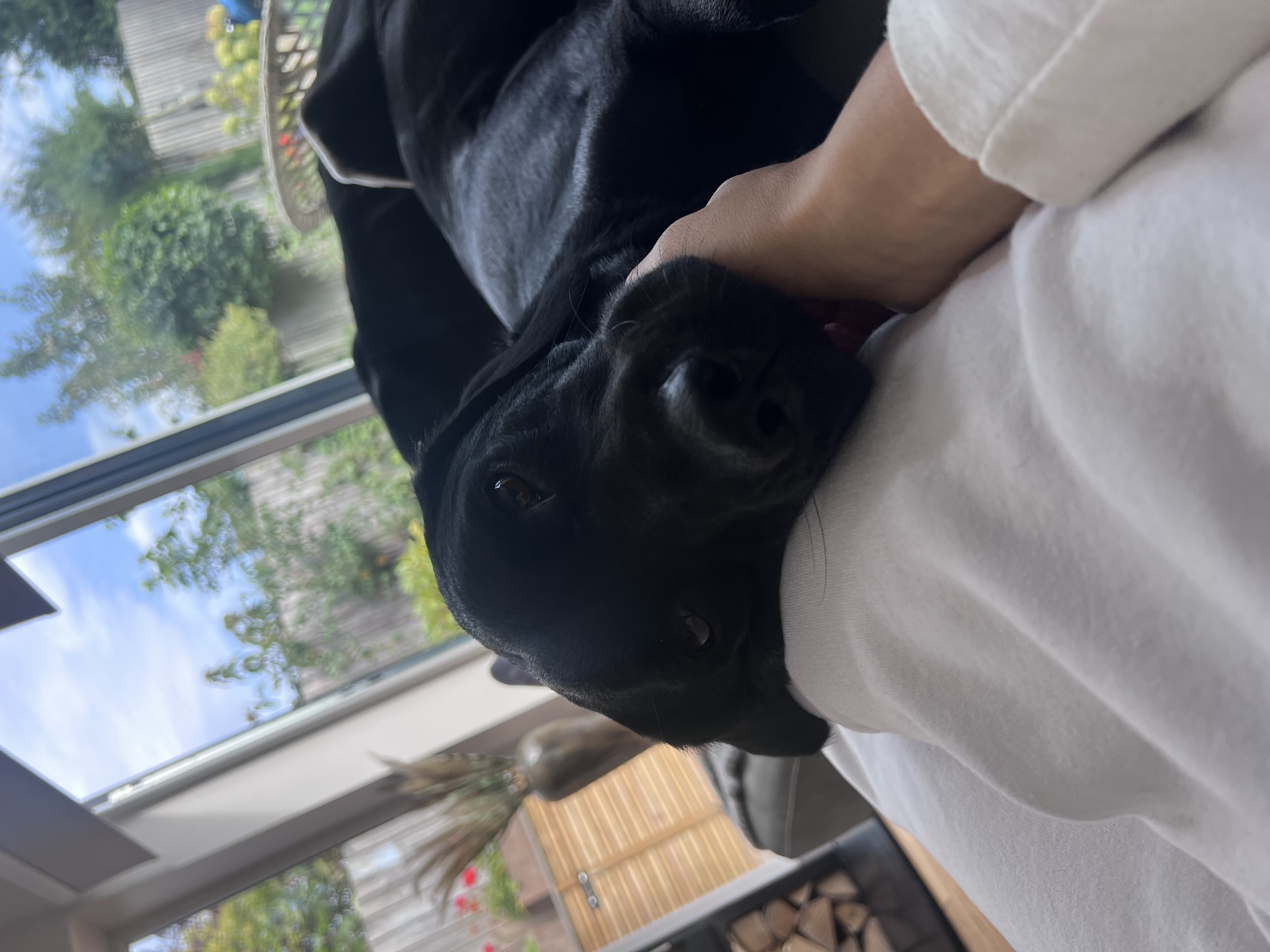 image-6