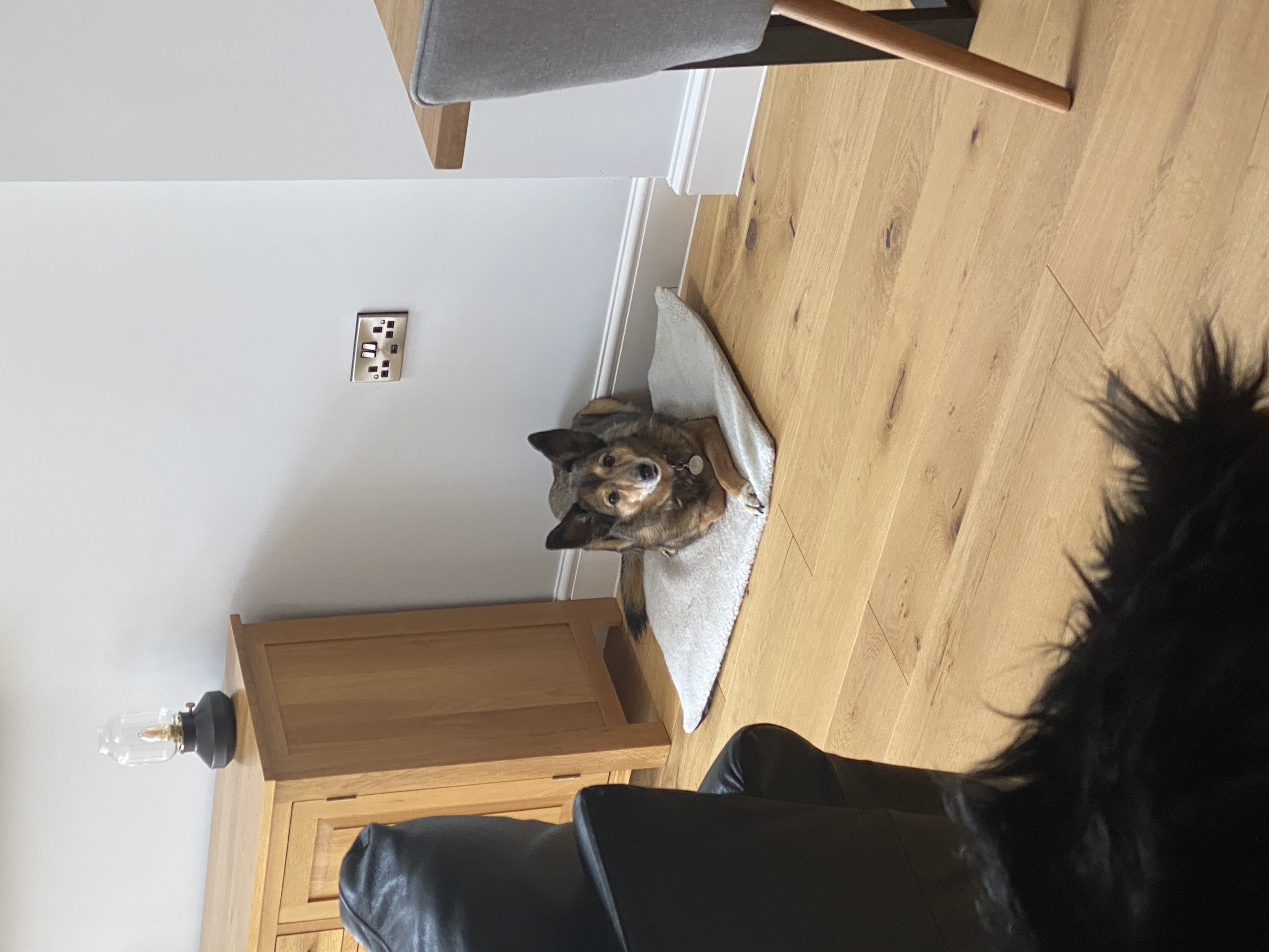 image-14