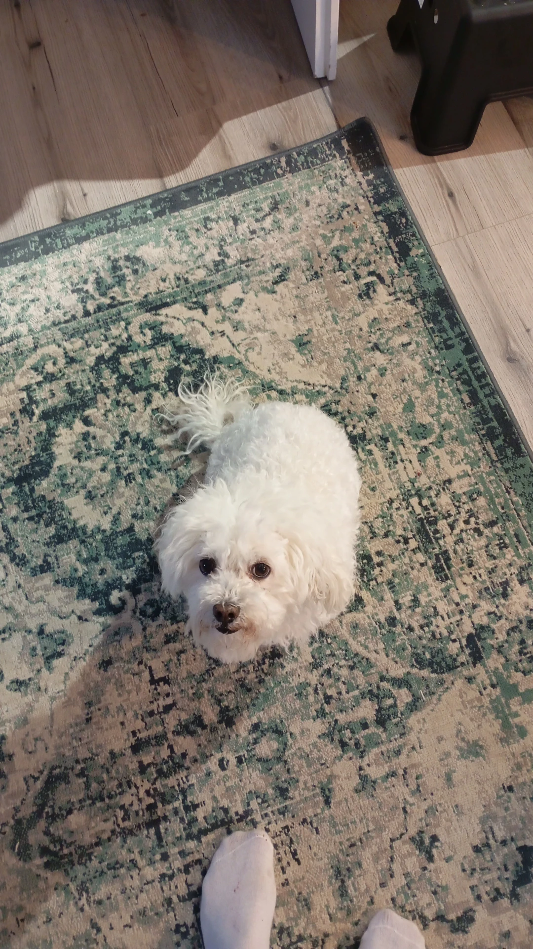 image-10