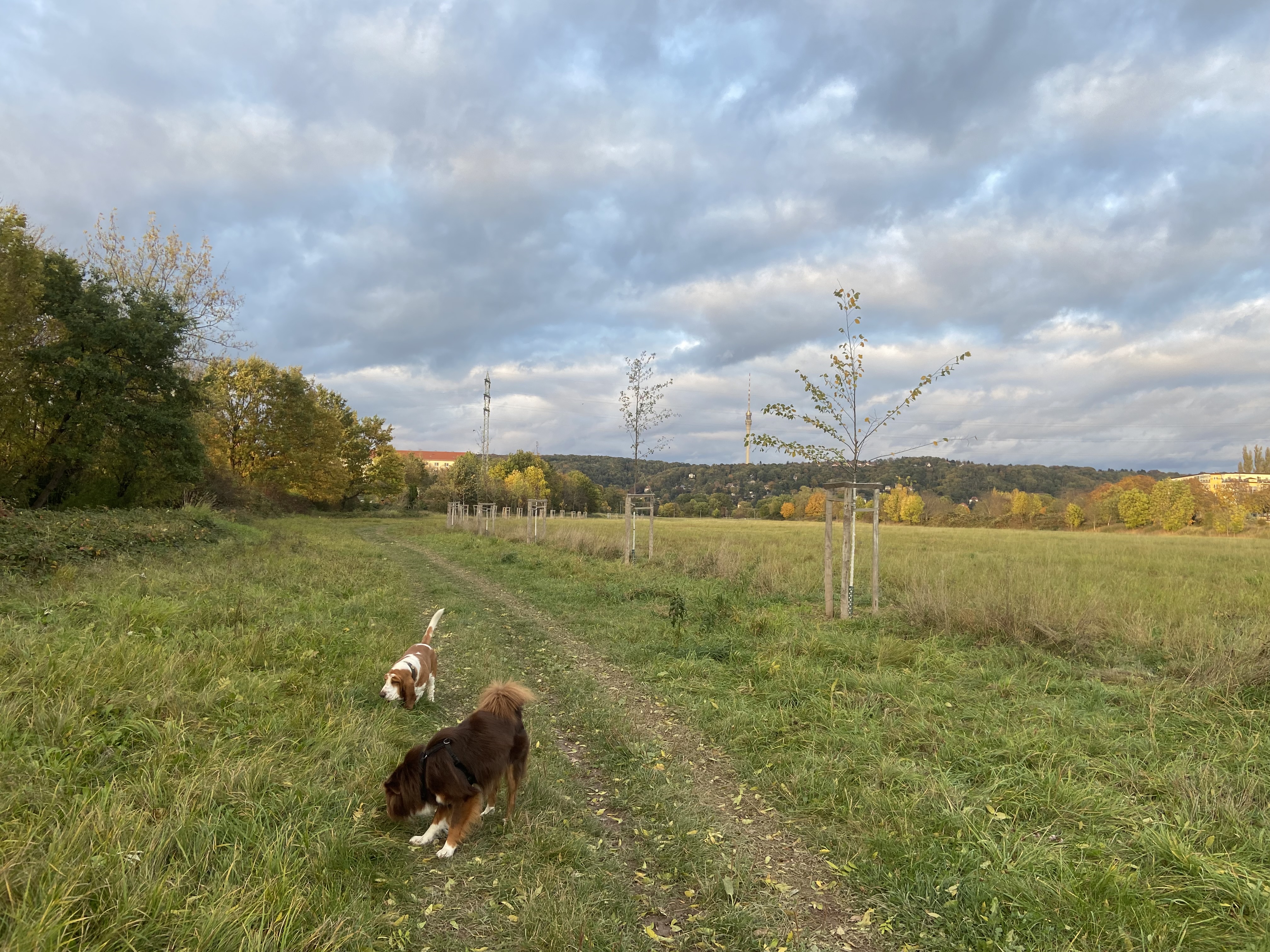 image-17