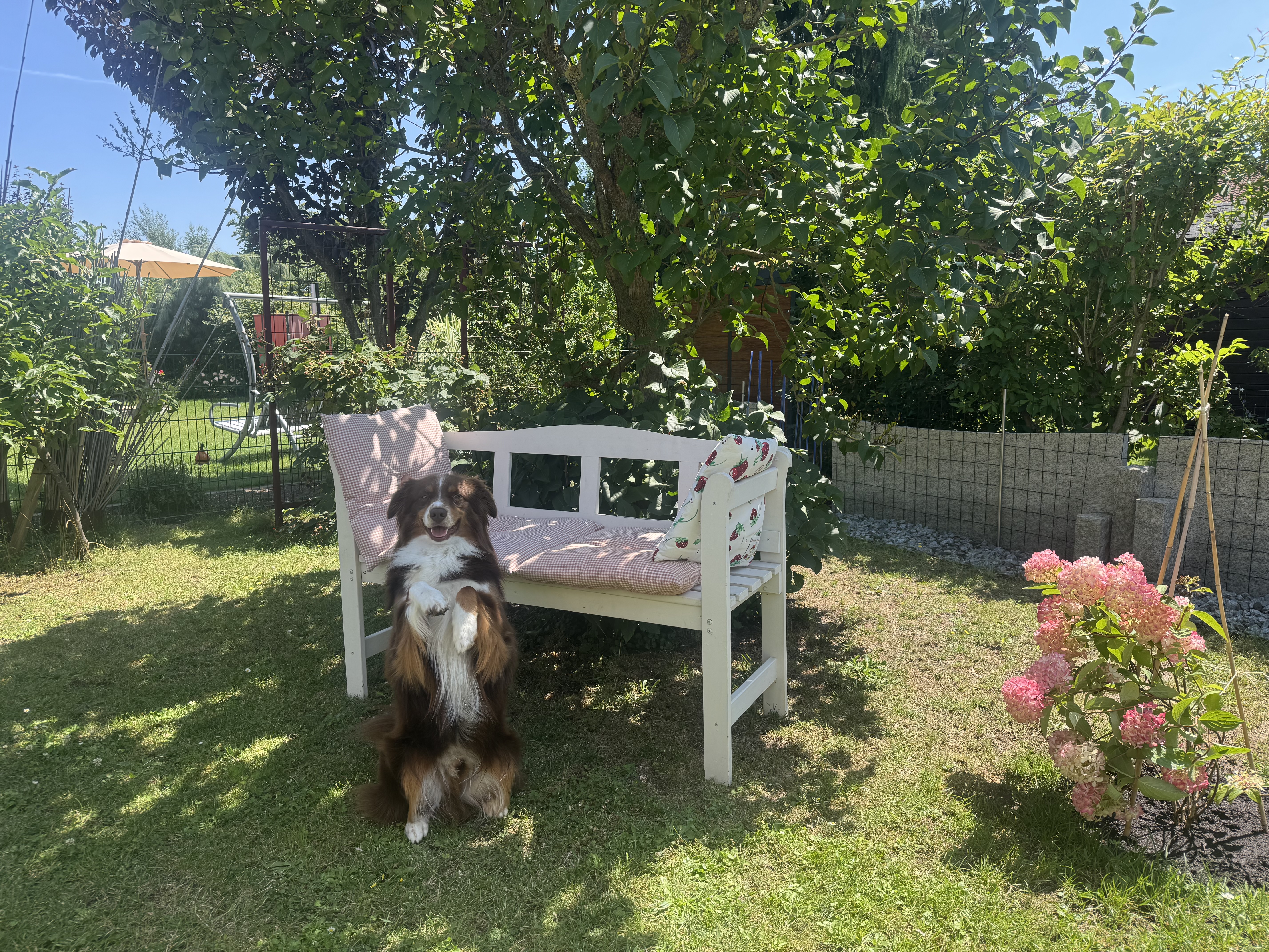 image-20