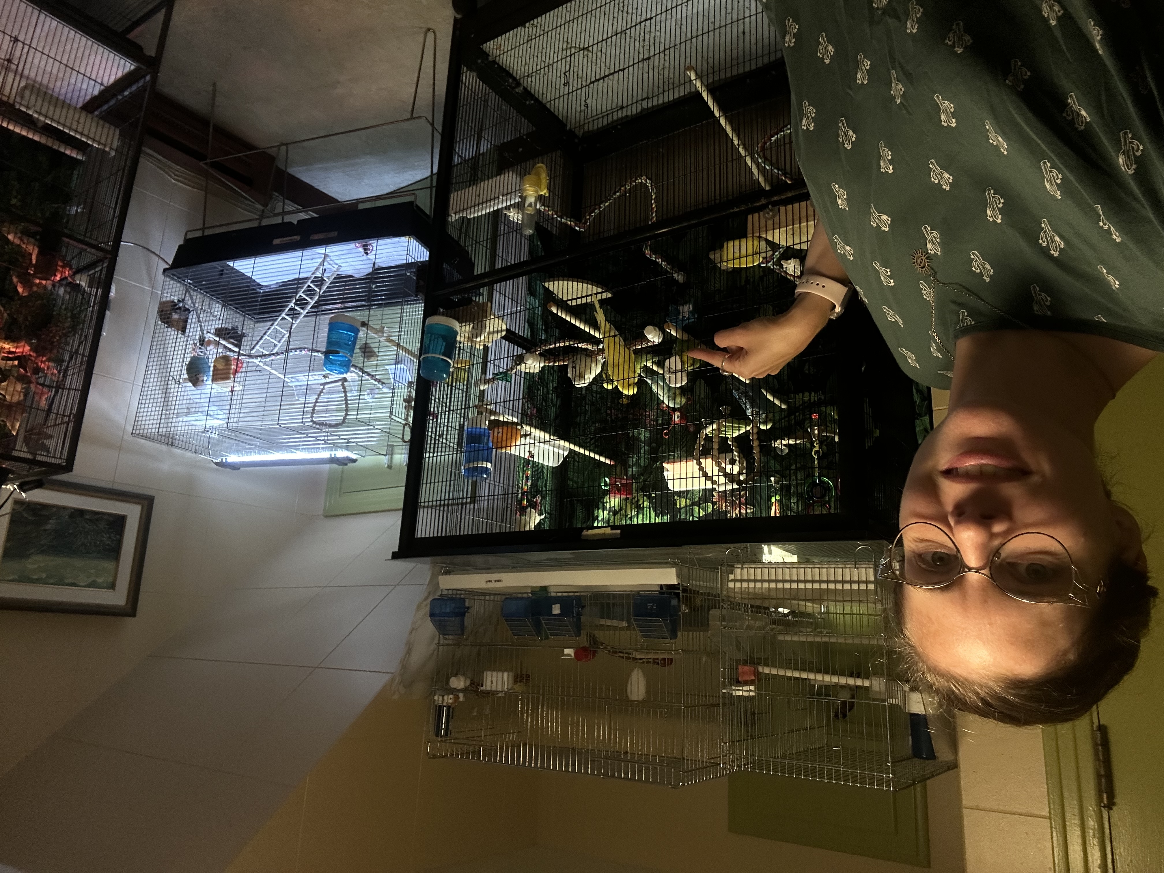 image-12